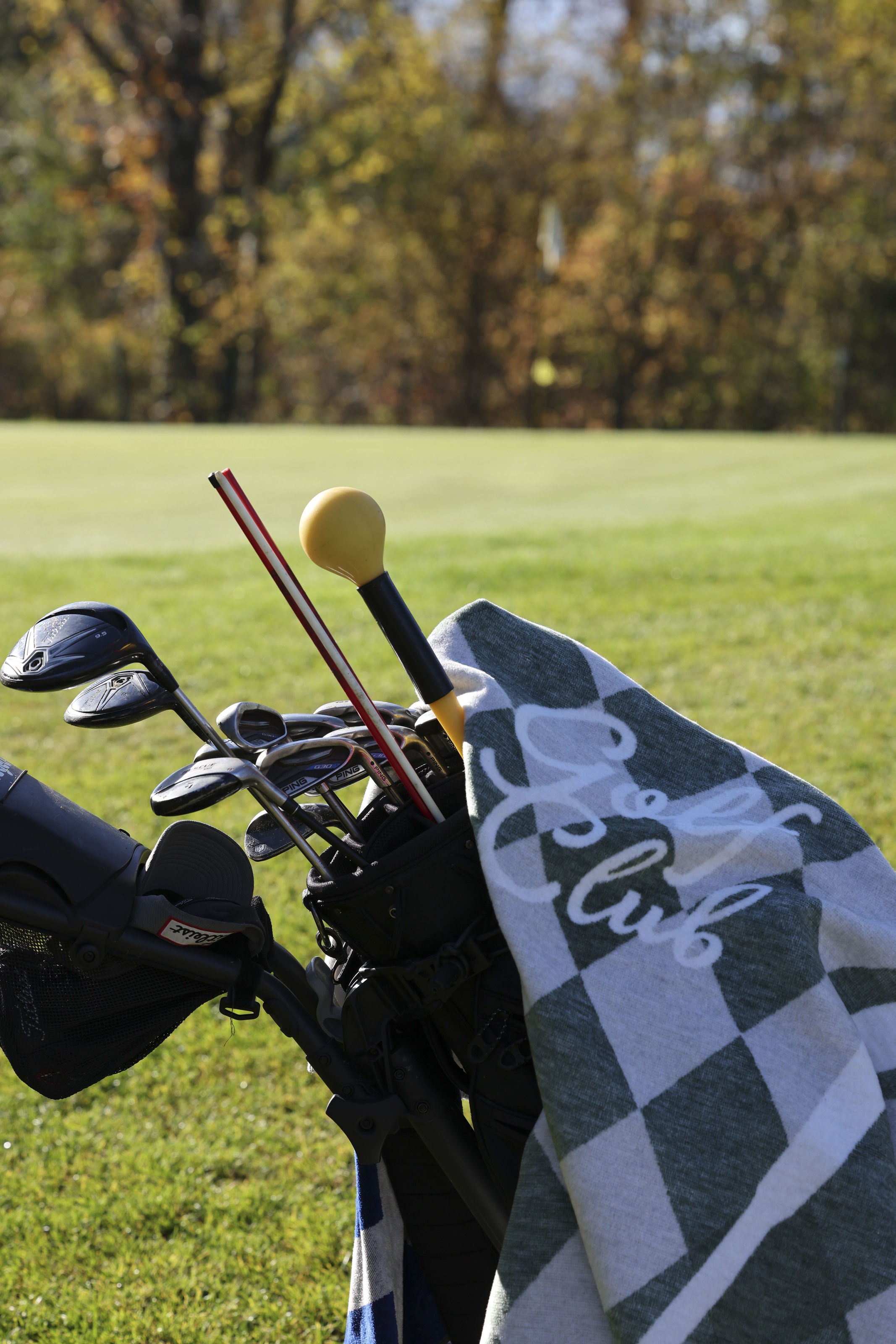 PAD Wolldecke "Golf" Made in Europe günstig online kaufen