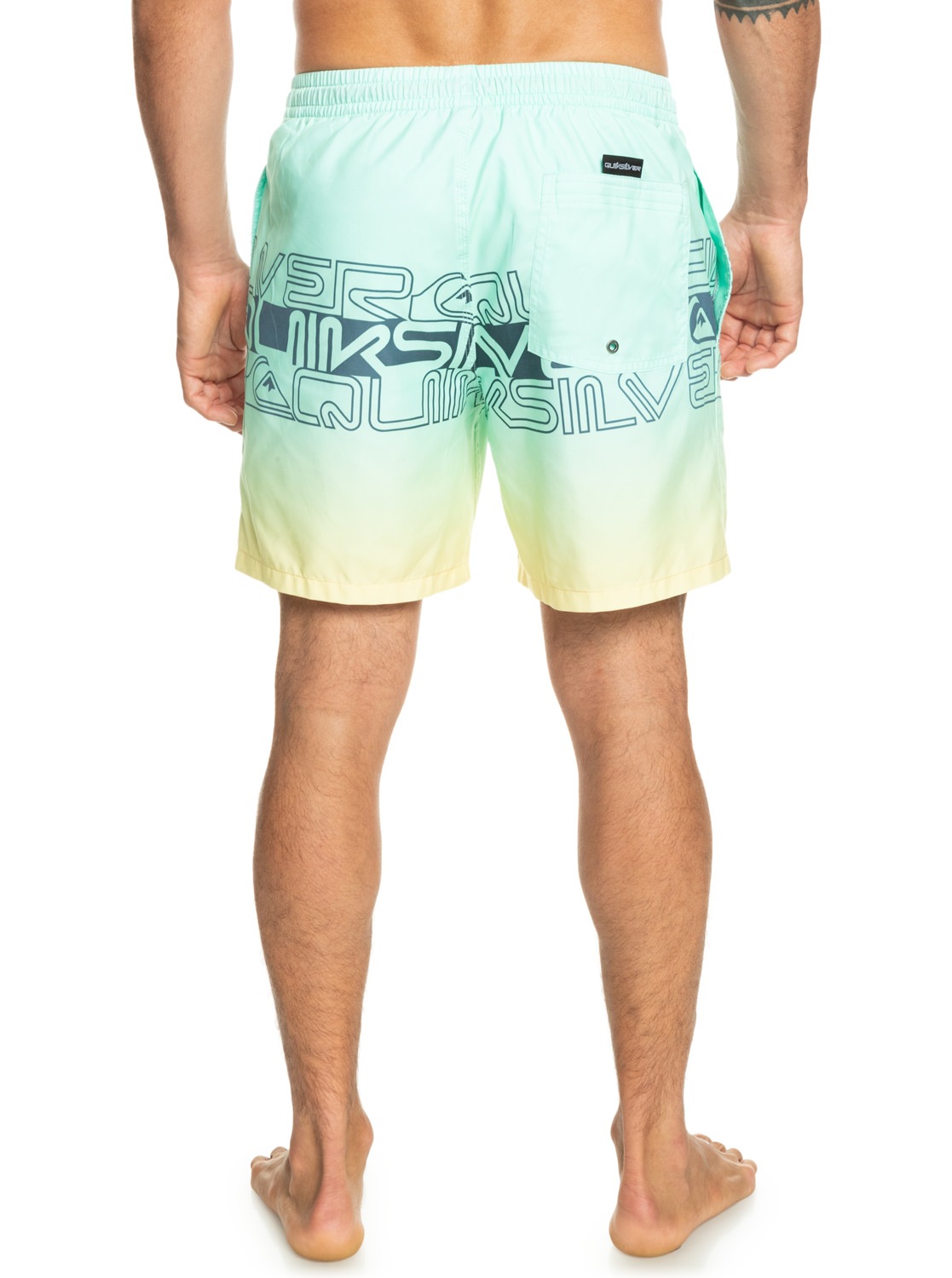 Quiksilver Boardshorts »Everyday Wordblock 17"«