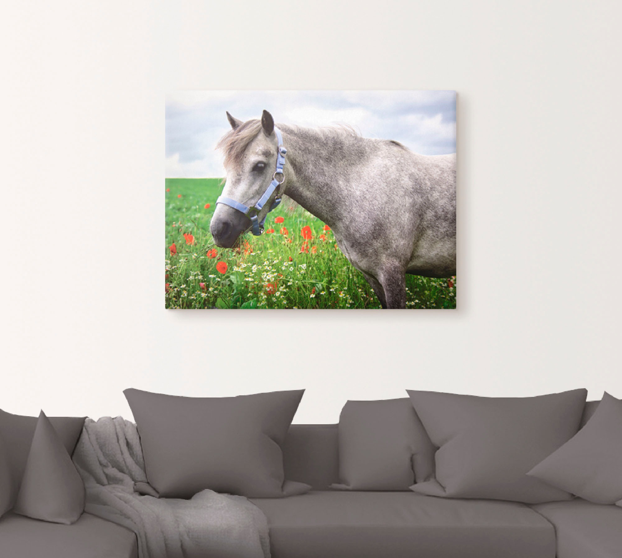 Artland Wandbild »Welshpony«, Haustiere, (1 St.), als Leinwandbild, Wandauf günstig online kaufen