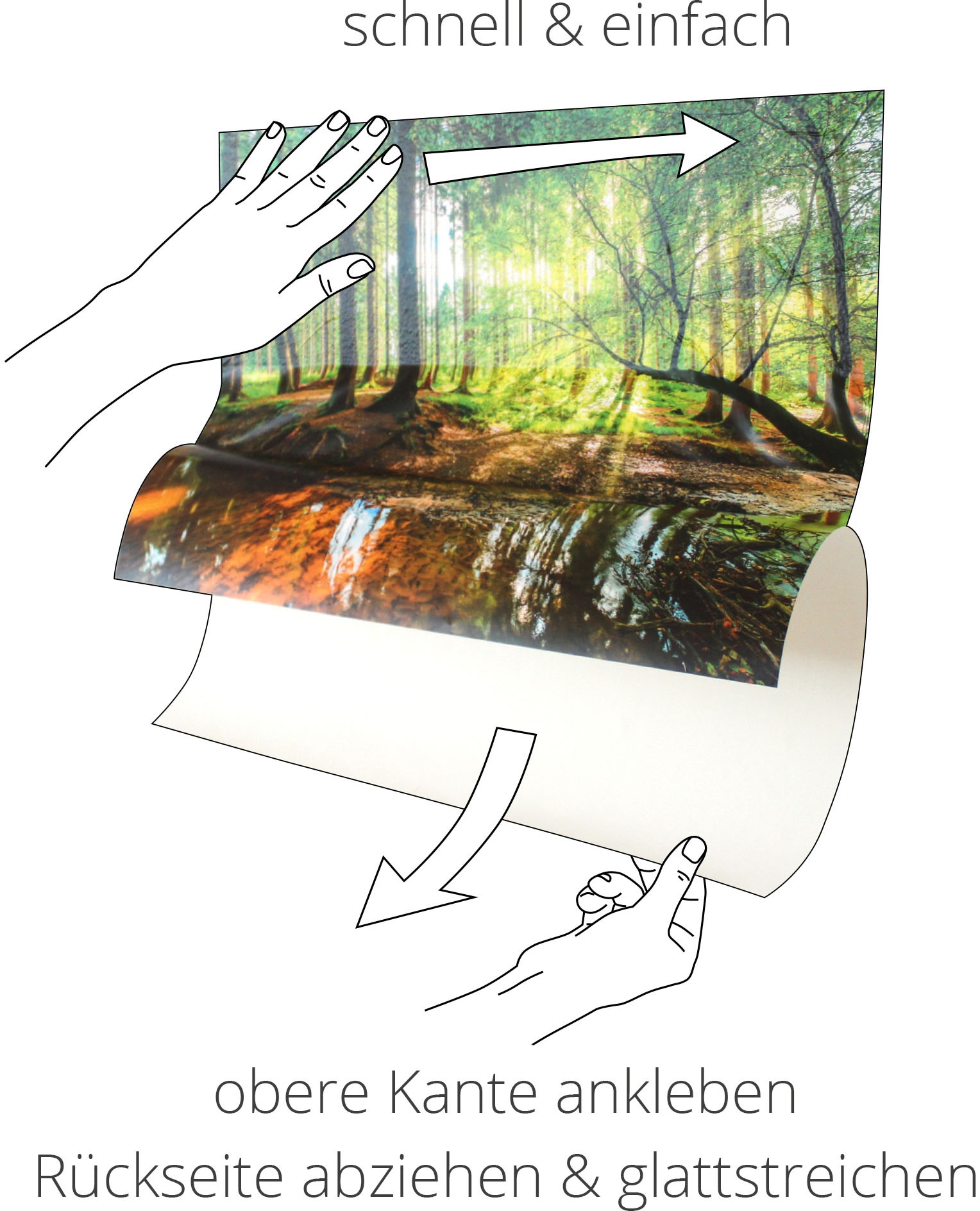 Artland Wandbild Poster Leinwandbild, (1 in oder auf Wald«, bestellen St.), Wandaufkleber Rechnung Waldbilder, als im versch. Größen »Sonnenstrahlen Alubild