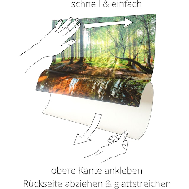 Artland Wandbild »Sonnenstrahlen im Wald«, Waldbilder, (1 St.), als Alubild,  Leinwandbild, Wandaufkleber oder Poster in versch. Größen auf Rechnung  bestellen