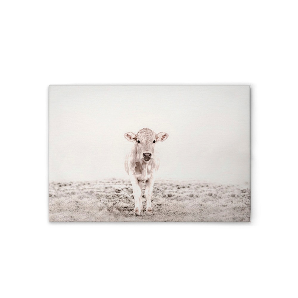 A.S. Création Leinwandbild »Highland Cattle 3 - Wandbild Weiß Creme Keilrah günstig online kaufen