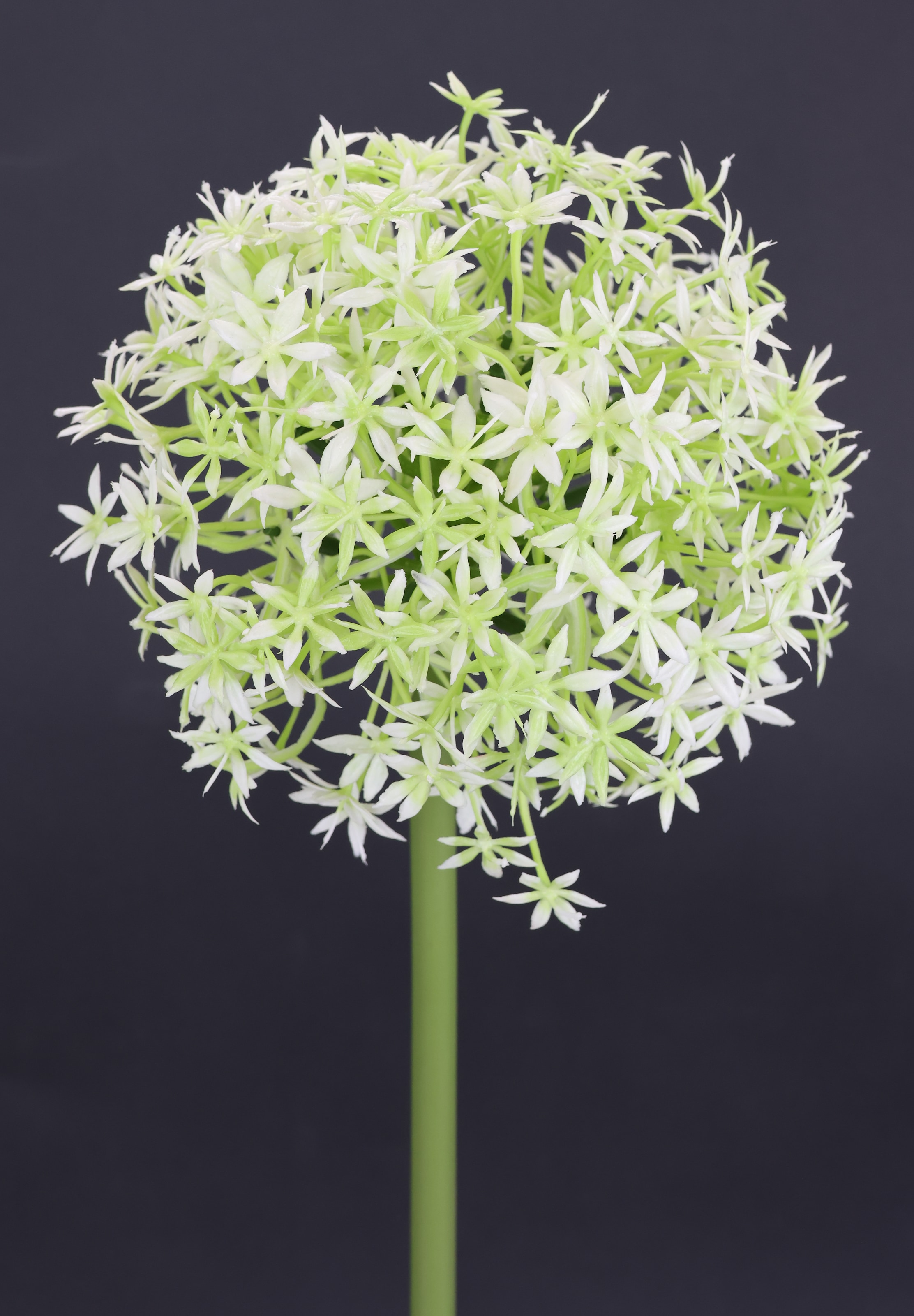 I.GE.A. Kunstblume »Allium Zierlauch«, Stielblume künstliche Blumen, 2er Set