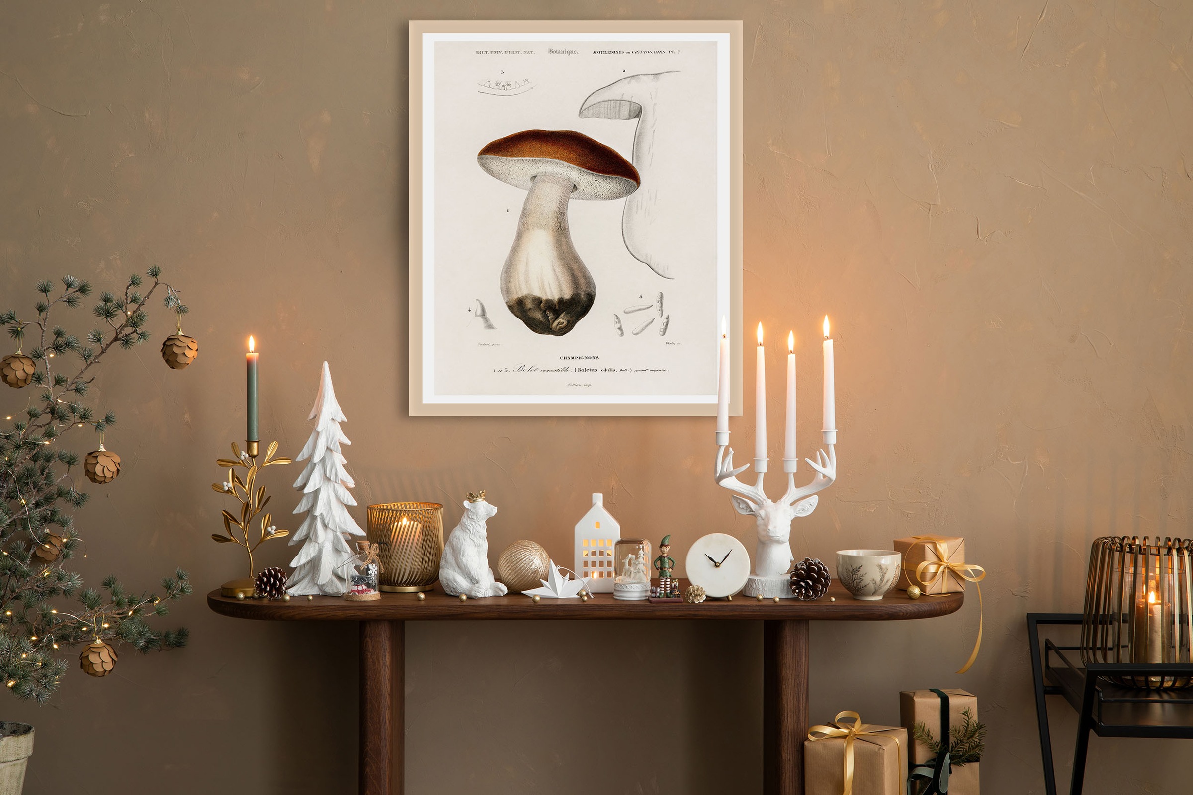 queence Bild mit Rahmen »Detailbild Pilz« Jahreszeiten   Pilze   Weihnachte günstig online kaufen