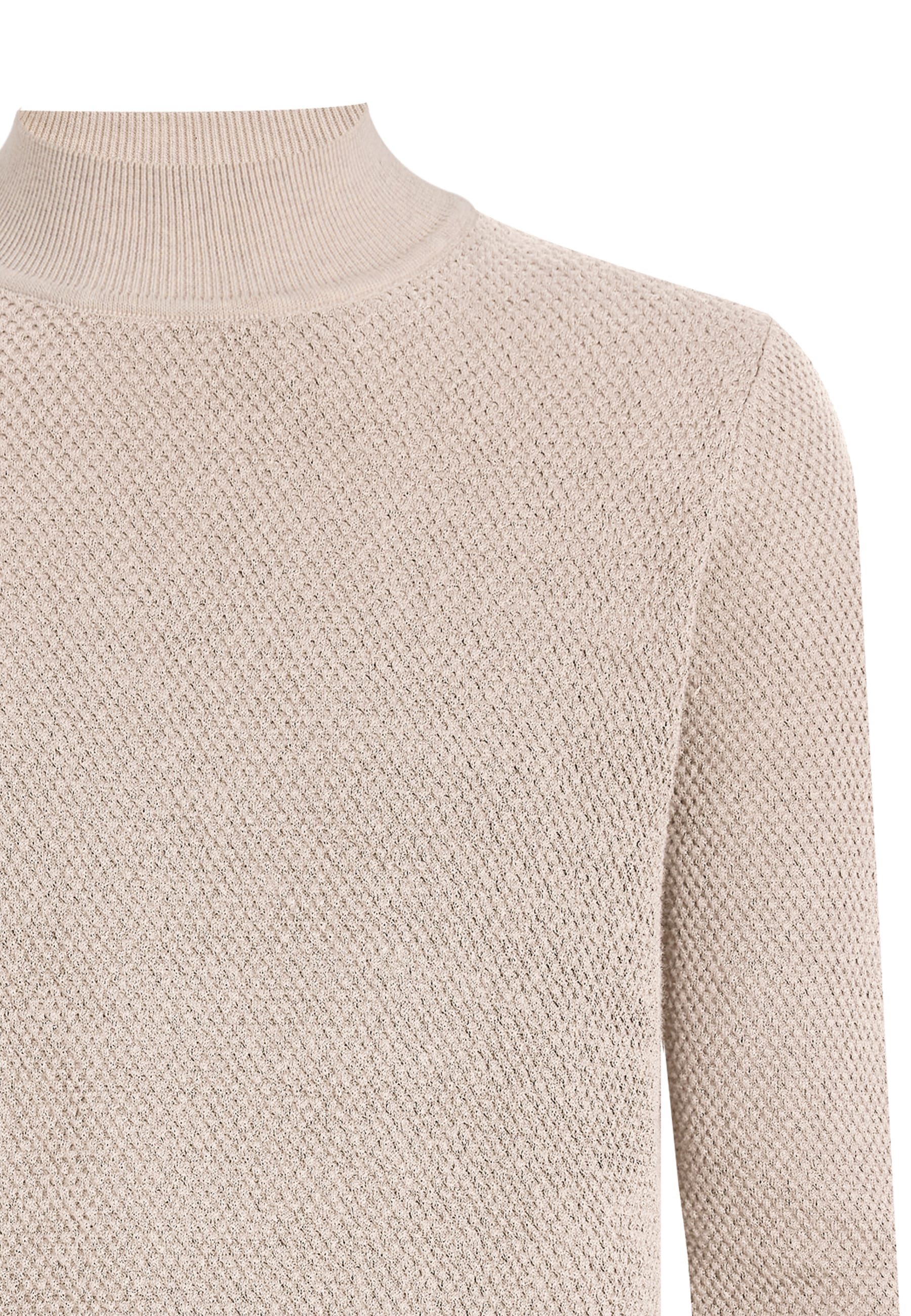 Felix Hardy Rollkragenpullover »Rollkragenpullover«