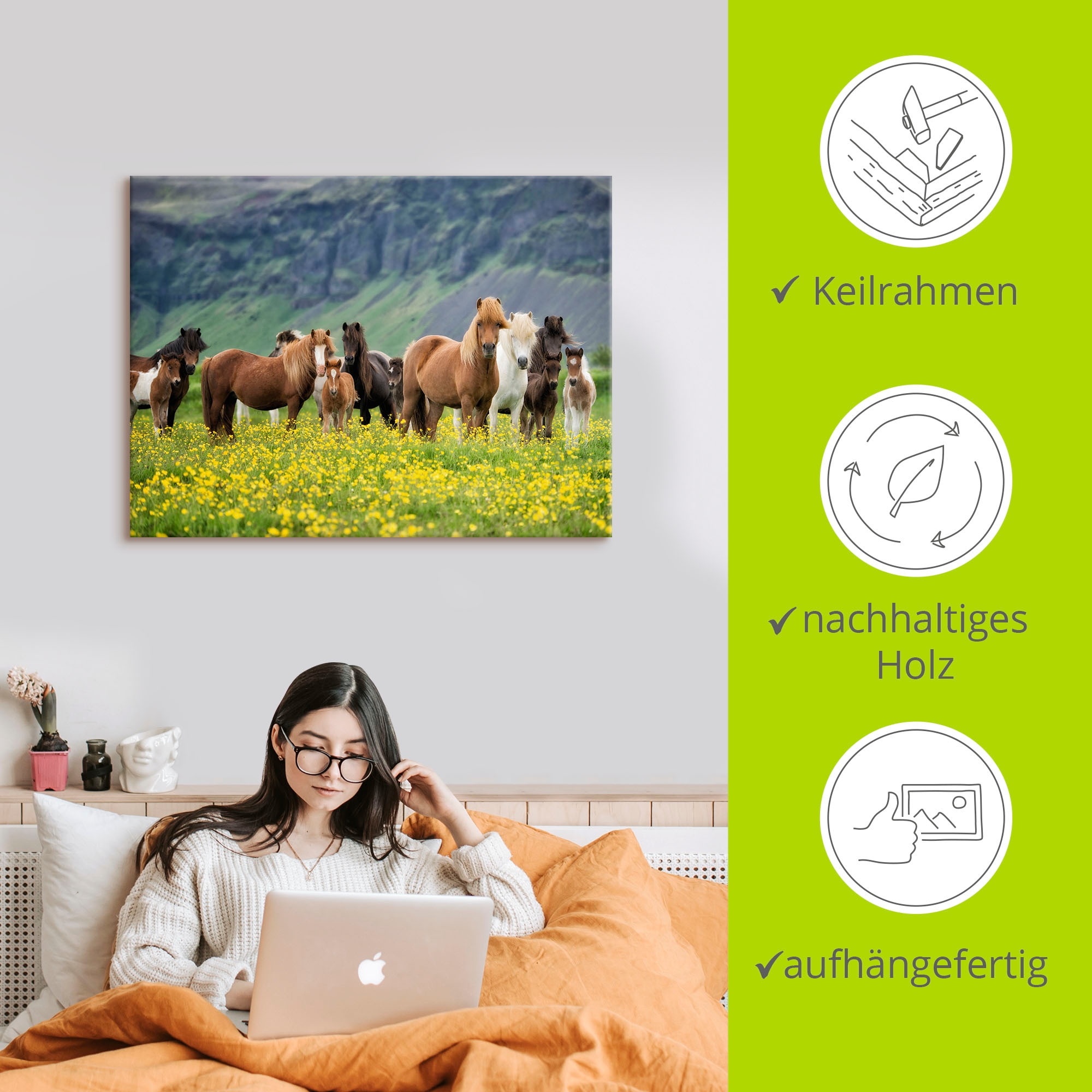 Artland Wandbild »Isländische Pferde VII«, Haustiere, (1 St.), als Leinwandbild, Poster, Wandaufkleber in verschied. Größen