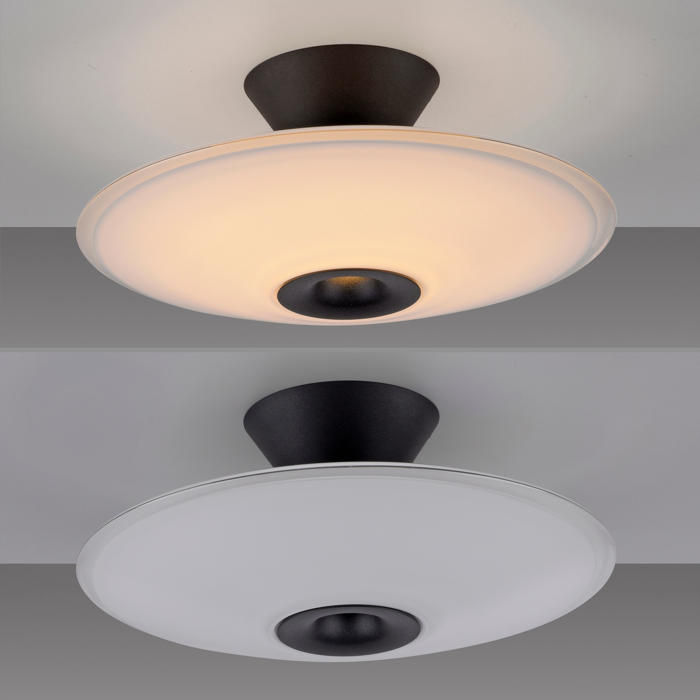 Paul Neuhaus LED Deckenleuchte »ELIPSA« LED-Board 1 Stk. Warmweiß Dimmfähig über separaten Tronicdimmer, Opalglas