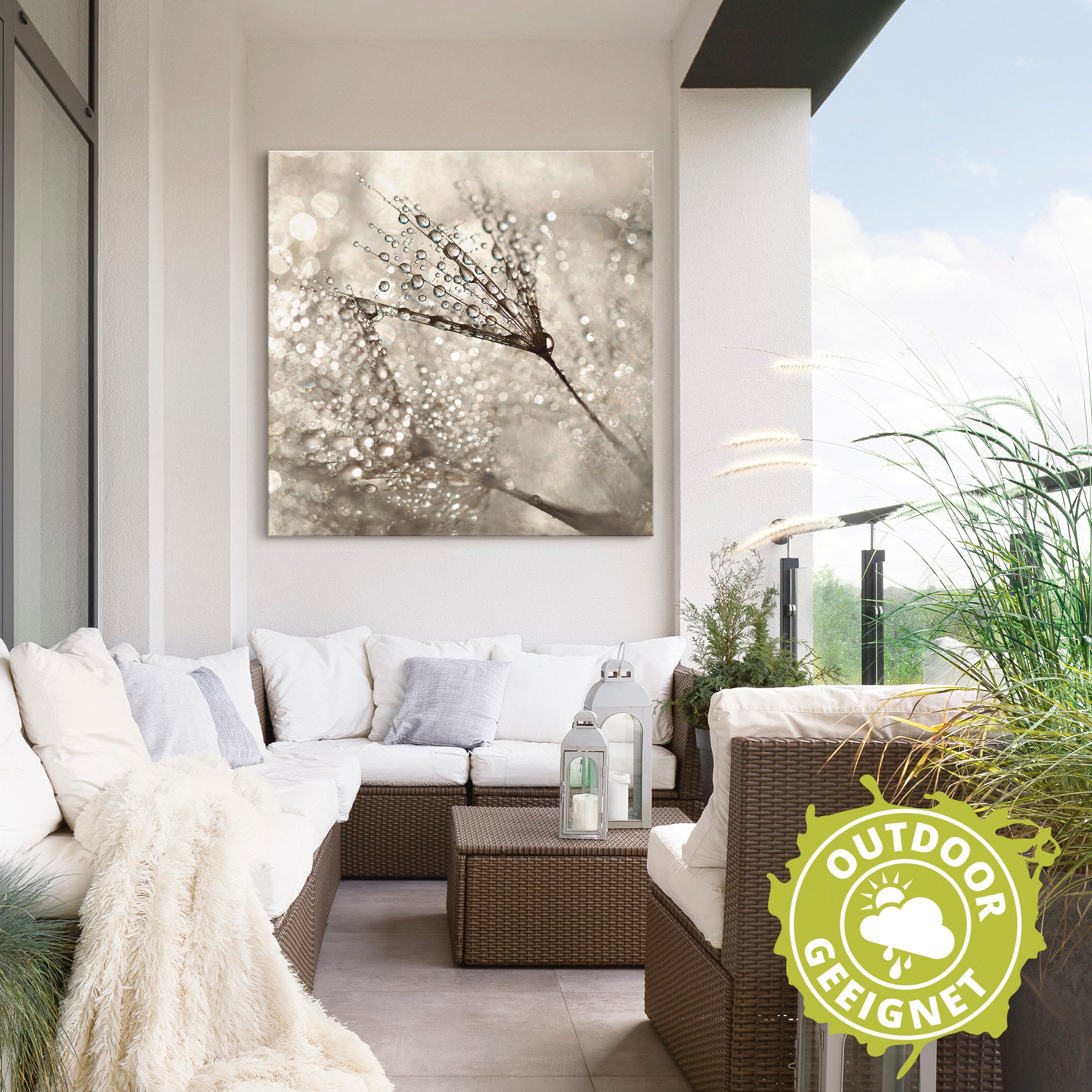 Artland Wandbild »Pusteblume Tautropfen«, Blumen, (1 St.), als Alubild, Outdoorbild, Leinwandbild, Poster, Wandaufkleber