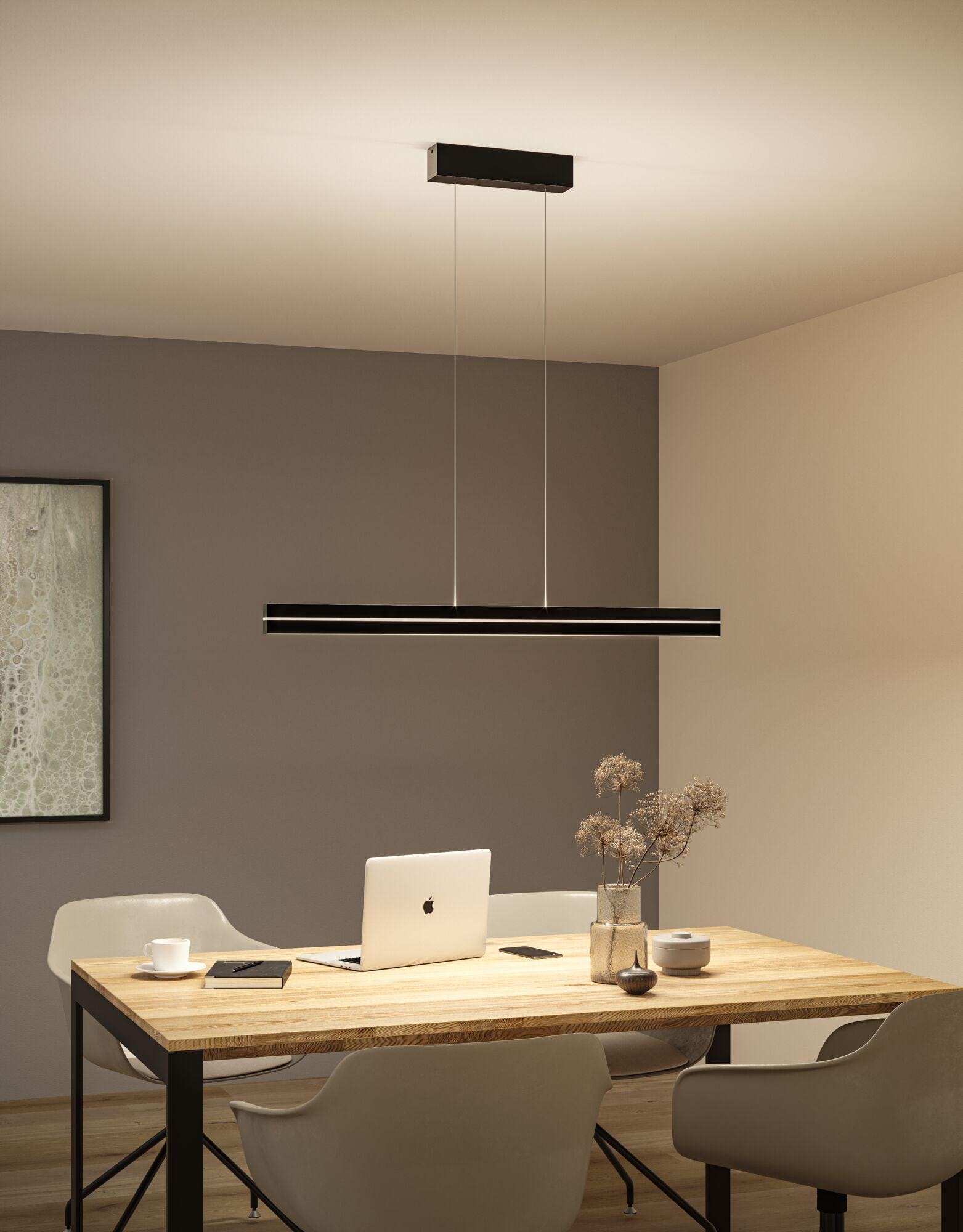 Paulmann LED Pendelleuchte »Raiko RGBW+ 2300lm / 370lm 19W / 6W Schwarz« LED-Modul 1 Stk. Tageslichtweiß dimmbar