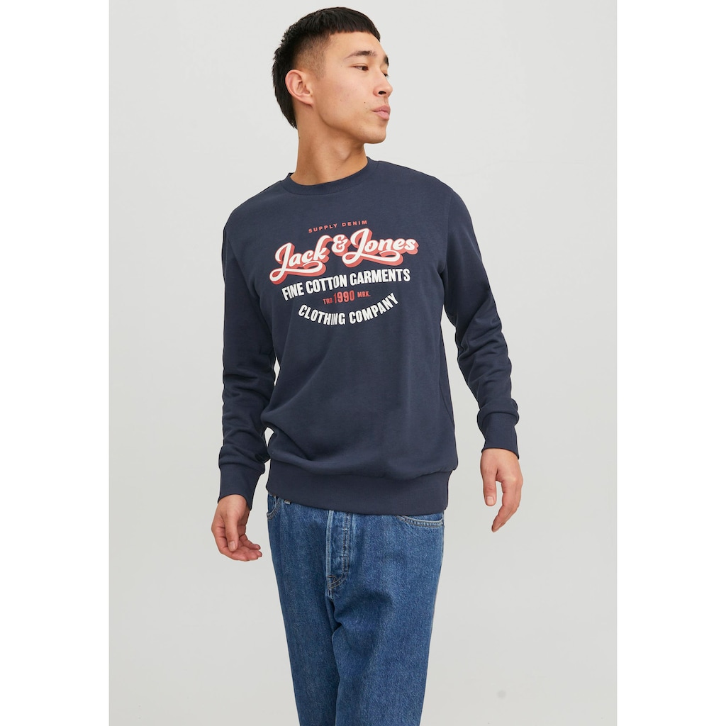 Jack & Jones Sweatshirt »JJ JJANDY SWEAT CREW NECK«