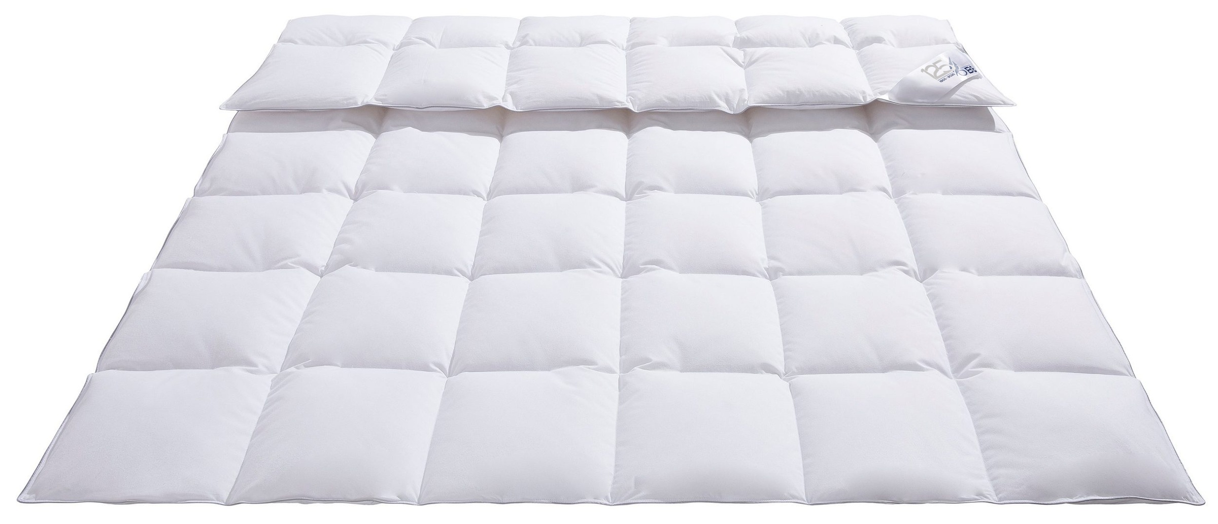 OBB Daunenbettdecke »Edition 120 Jahre OBB«, extrawarm, Füllung 90%Daunen, günstig online kaufen