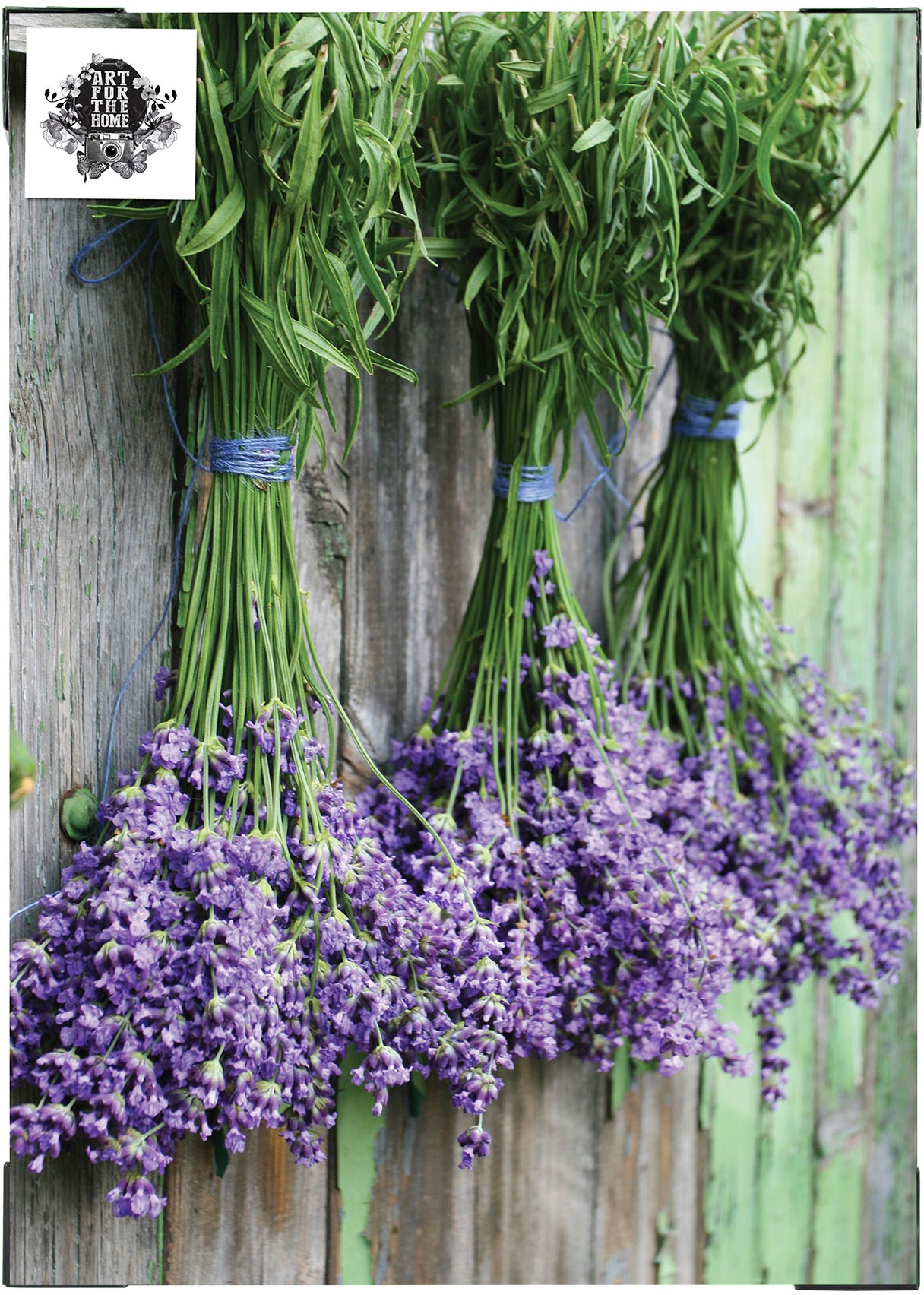 Art for the home Leinwandbild »Outdoor Lavendel 50x70cm«, (1 St.)