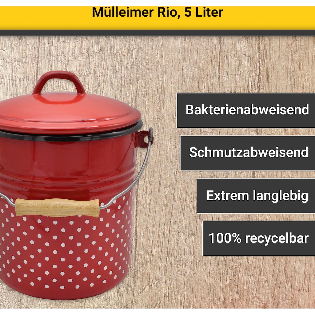 Krüger Mülleimer »Mülleimer mit Deckel Rio«, 1 Behälter
