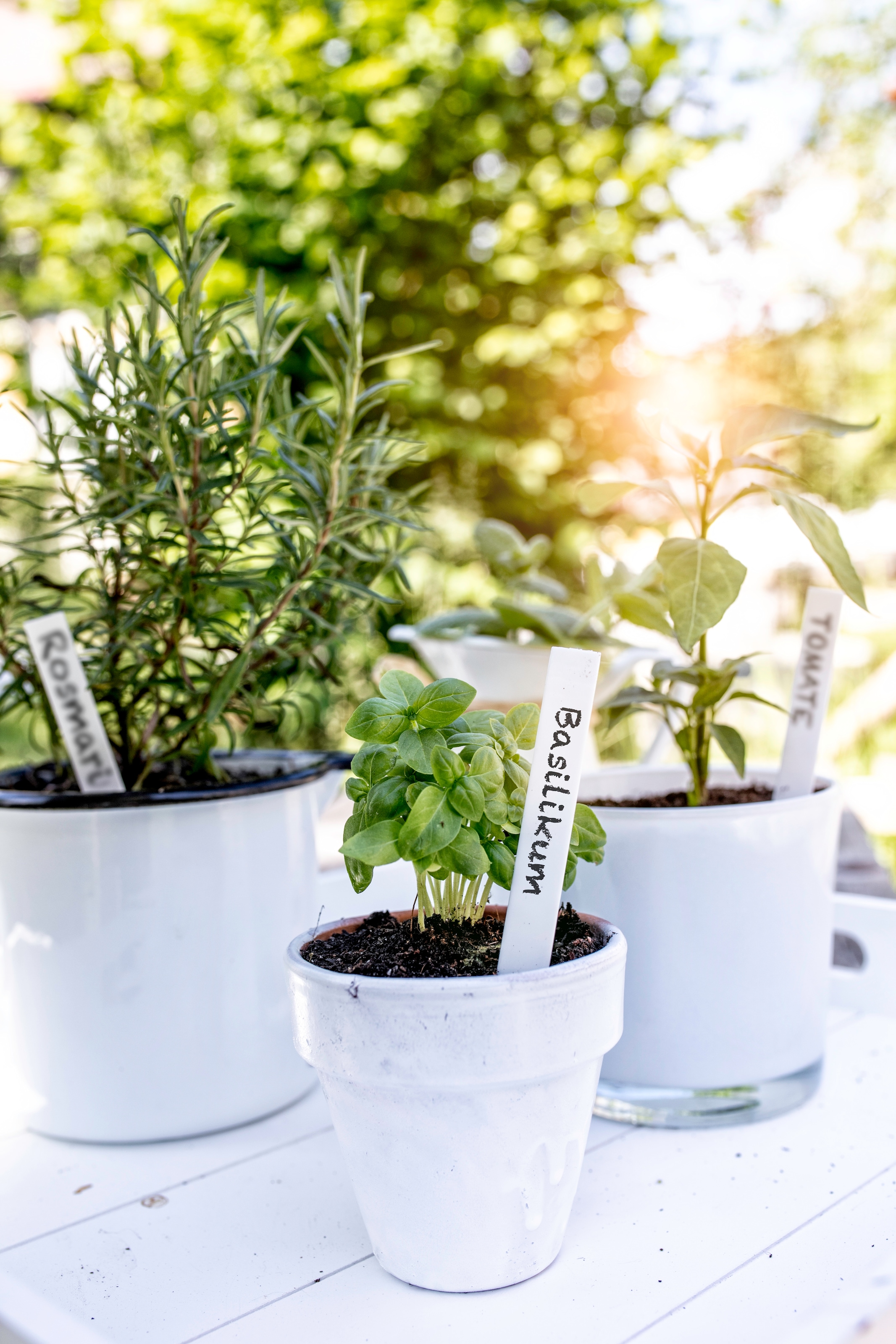 Windhager Gartenstecker »Pflanzenstecker aus witterungsbeständigem Kunststoff, Gartendeko« für Topf und Beetpflanzen, 50 Stück + 1 Gärtnerstift inklusive