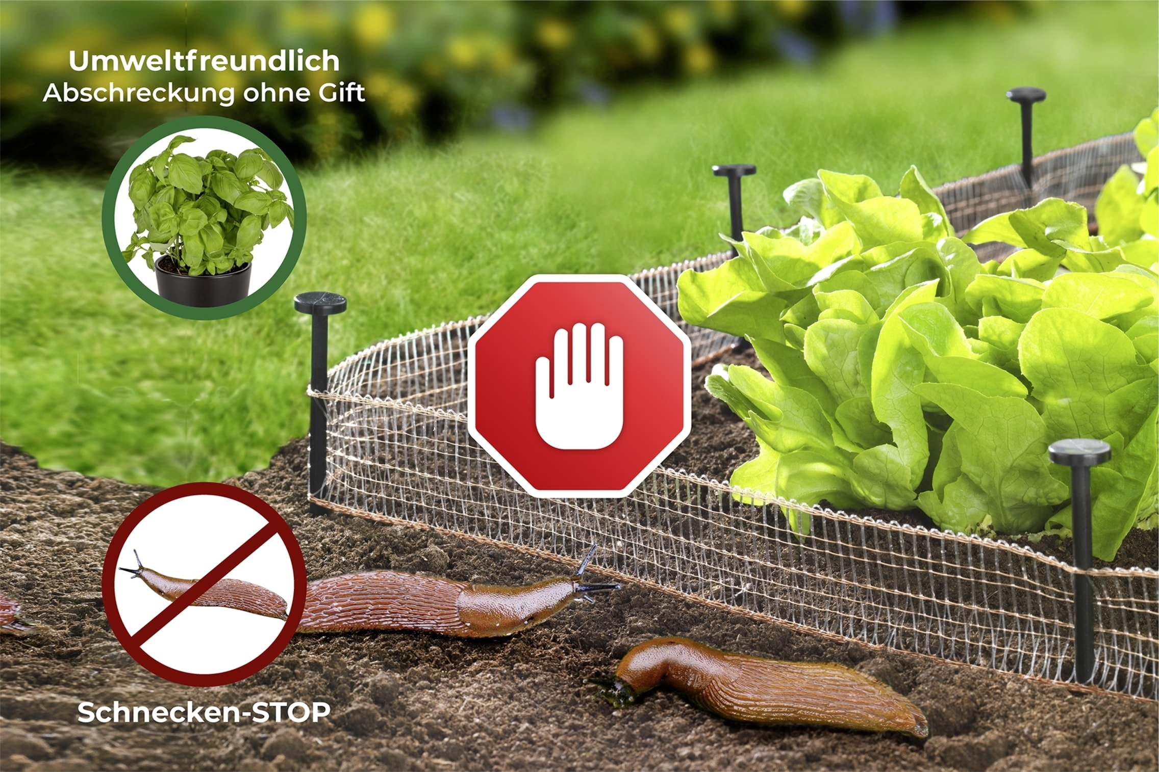 WENKO Schneckenzaun »Schnecken-Stopp« 2 x 8 m