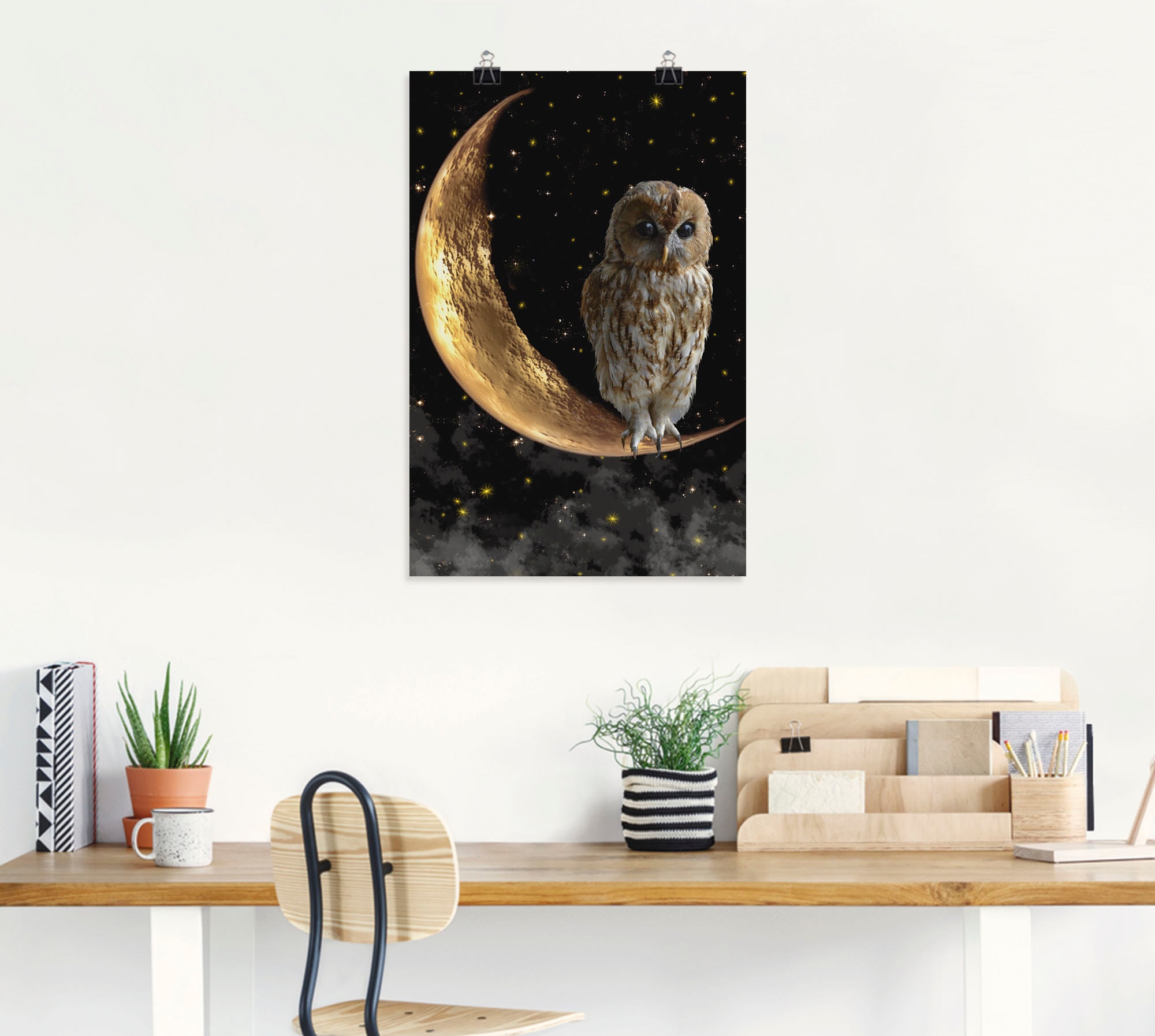 Artland Wandbild »Nachteule« Vögel 1 Stk. tlg. als Alubild, Outdoorbild, Leinwandbild, Poster in verschied. Größen