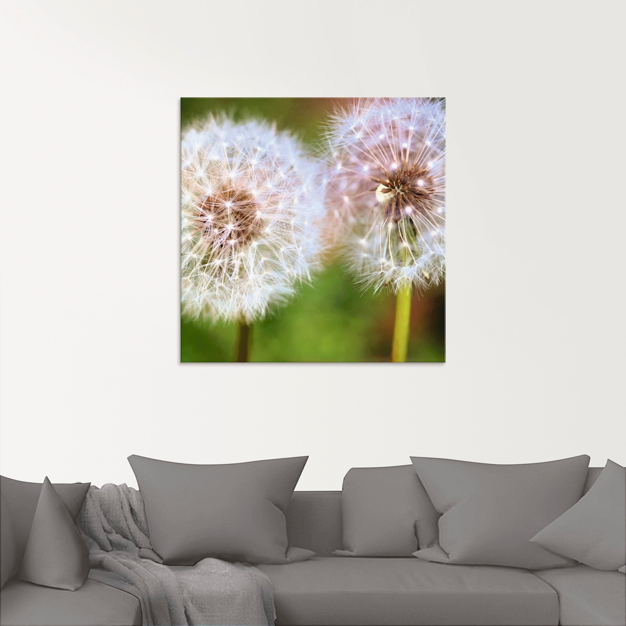 Artland Glasbild »Pusteblume Zweisamkeit«, Blumen, (1 St.), in verschiedene günstig online kaufen