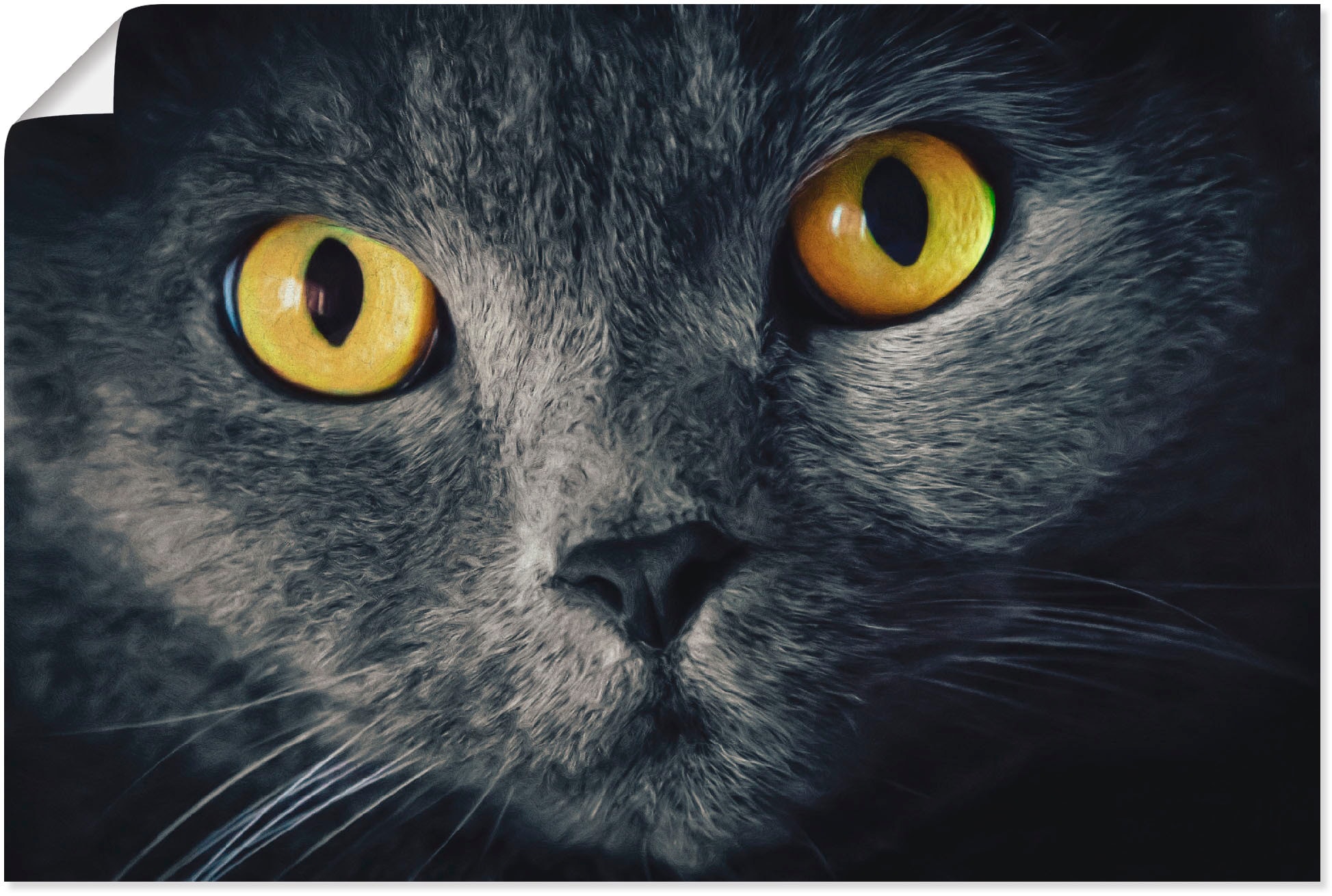 Artland Wandbild »Katzenaugen« Haustiere 1 Stk. tlg. als Alubild, Outdoorbi günstig online kaufen