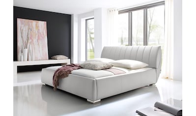 meise.möbel Polsterbett, mit Lattenrost und Bettkasten kaufen