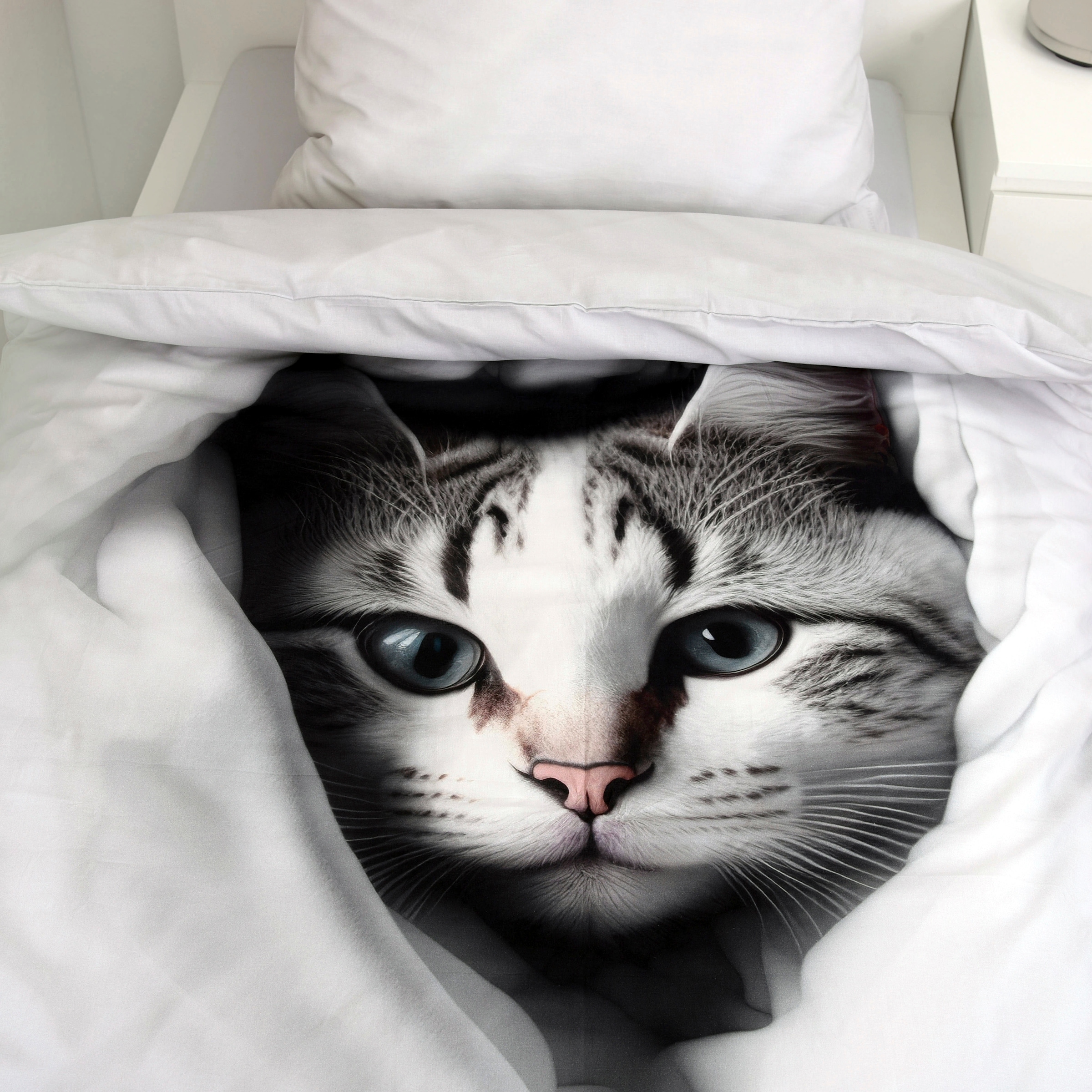 Herding Young Collection Bettwäsche »YC Katze«, mit tollem Motiv