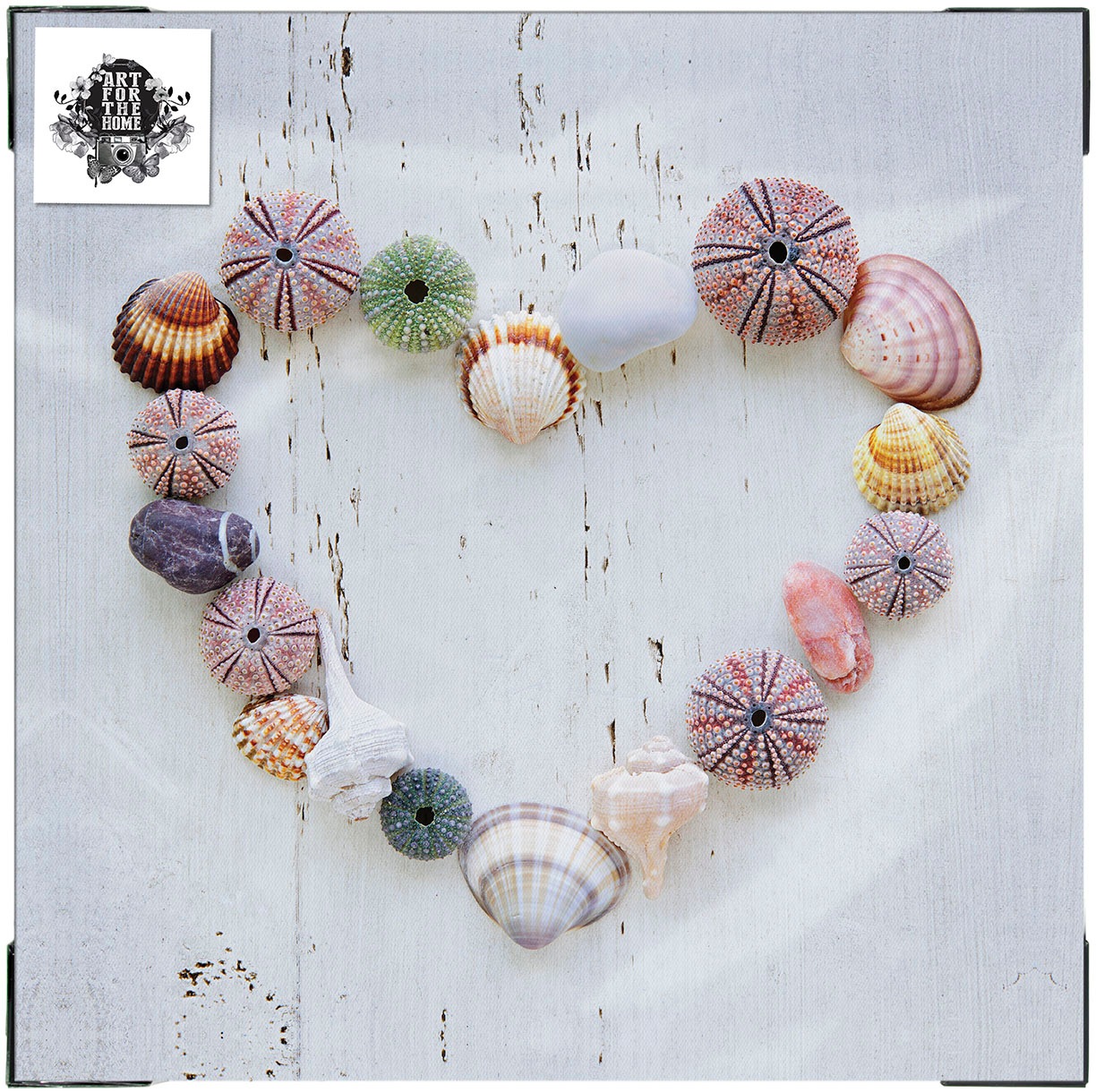Art for the home Leinwandbild »Outdoor Muschelherz 50x70cm«, Romantisch-Strand, (1 St.), Leinwand für draußen -Muschelherz - 50x50cm