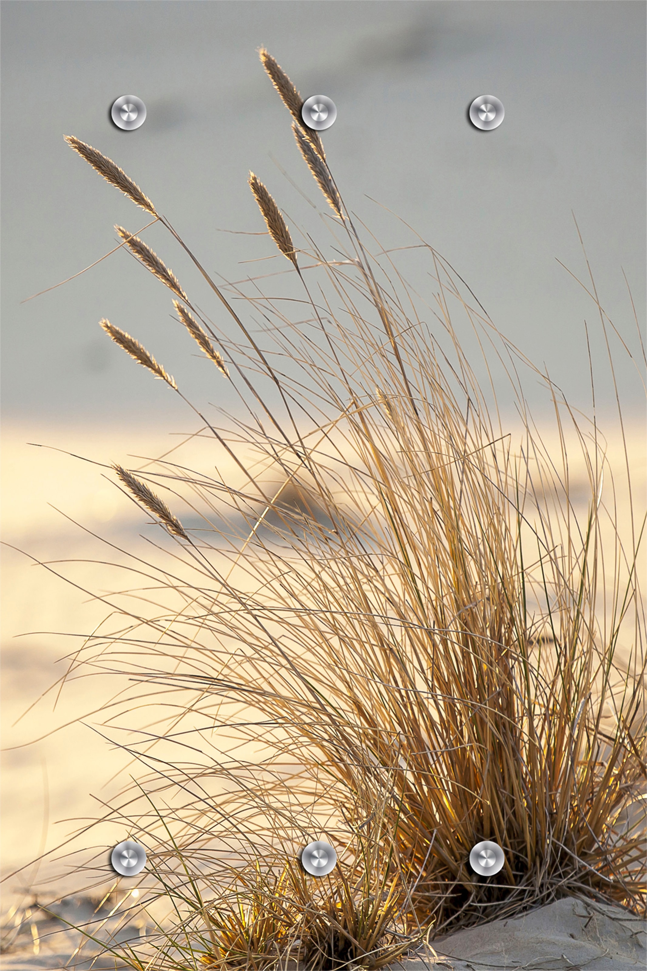 queence Garderobenleiste »Strand«