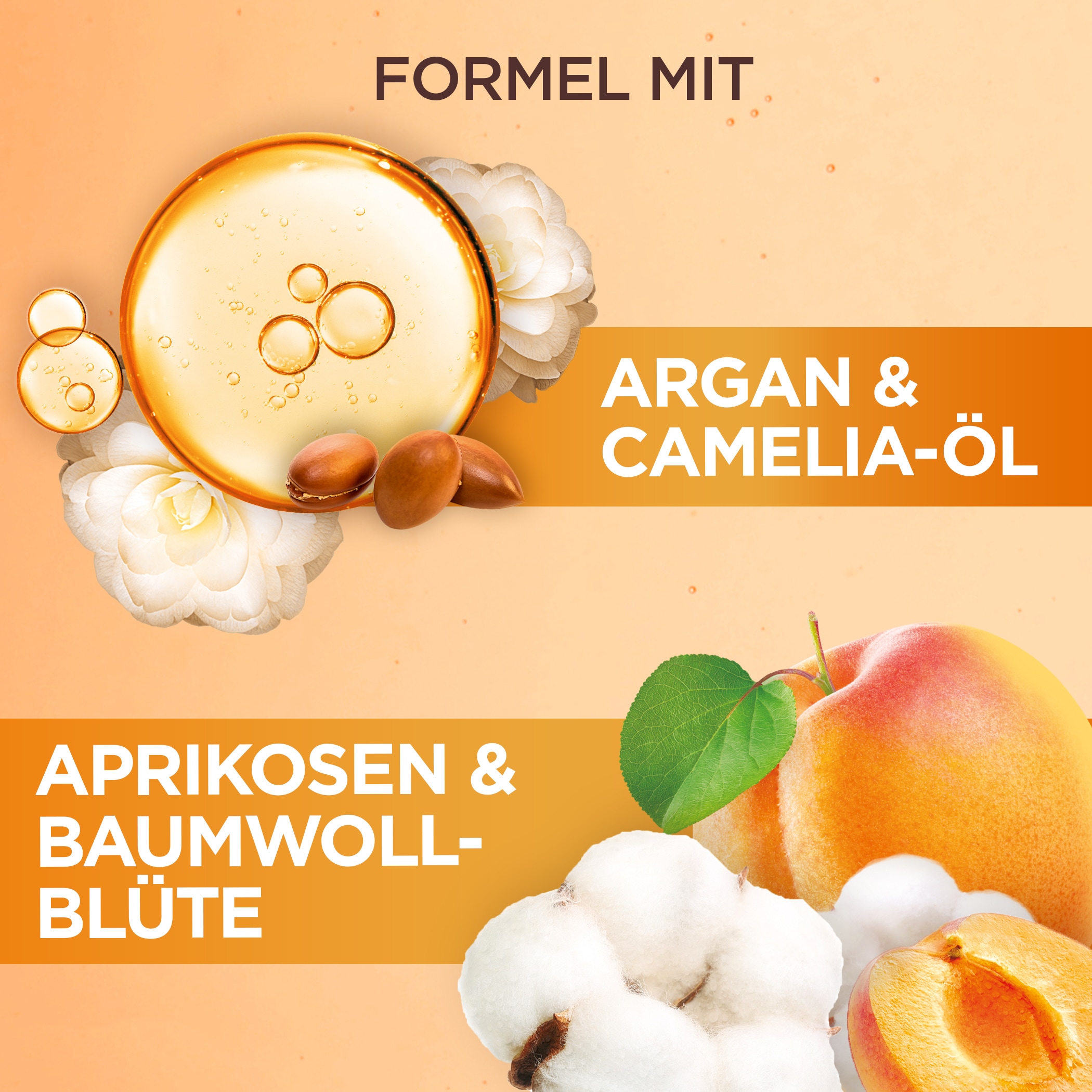 GARNIER Haaröl »WAHRE SCHÄTZE ARGAN & CAMELIA« für trockenes Haar, mit Argan- und Kamelien-Öl, flüssige Textur