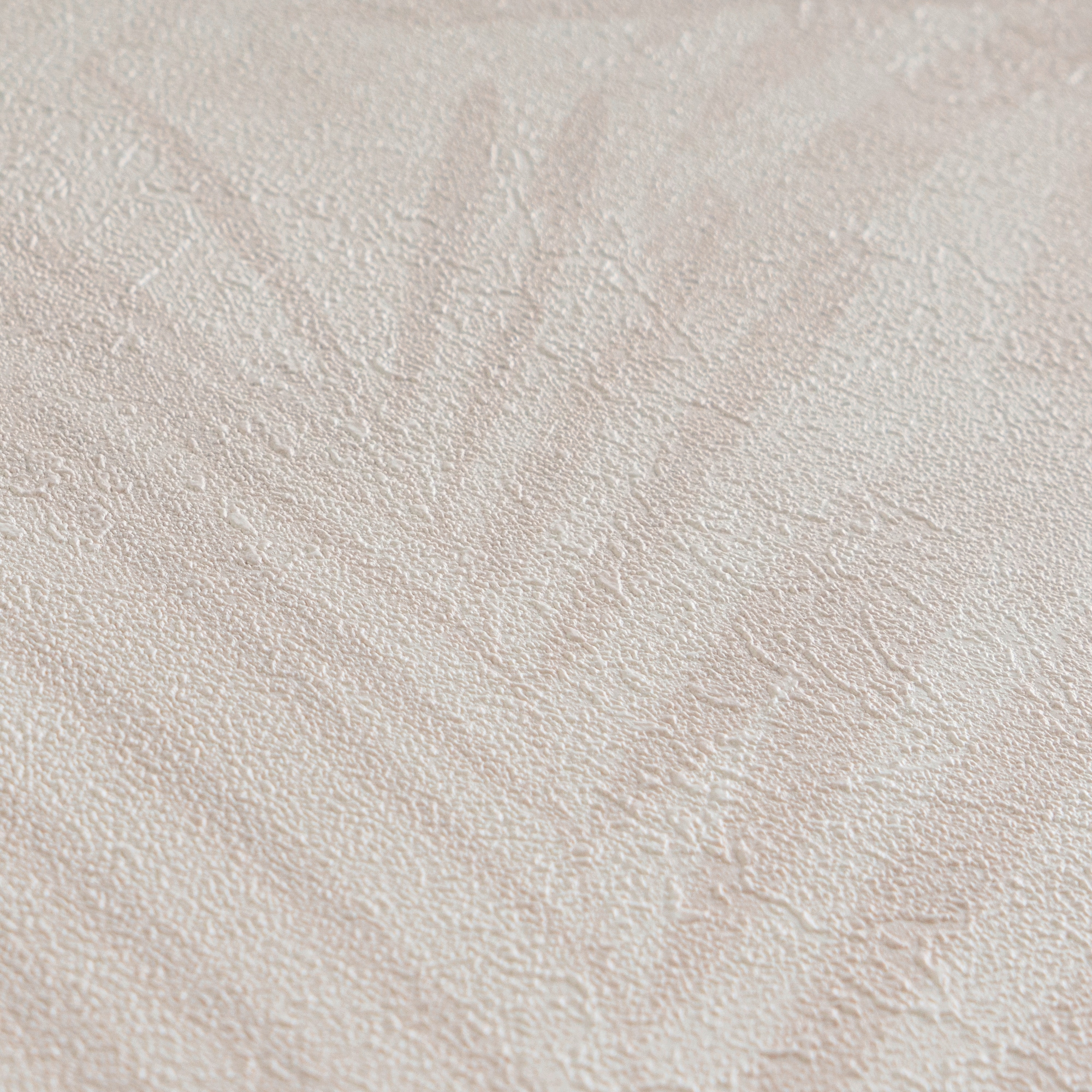 A.S. Création Vliestapete »Neue Bude 2.0 Tropical Concret mit Palmenblättern« Wald | botanisch | floral leicht strukturiert Dschungeltapete Tapete Palmen Tapeten Wohnzimmer Schlafzimmer Küche