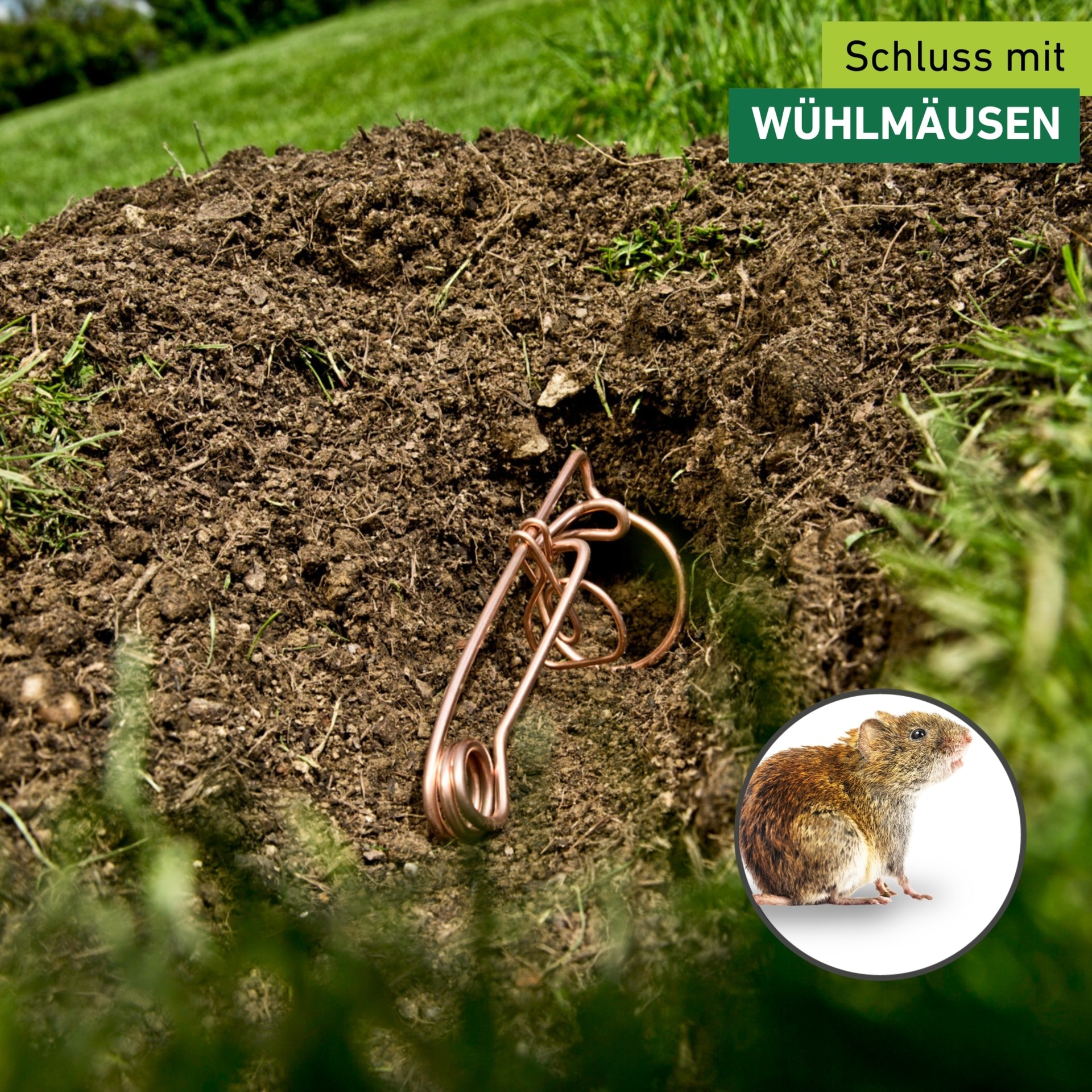 Windhager Schlagfalle »Draht-Wühlmausfalle im Doppelpack« Wühlmausbekämpfung robust,  Schnappfalle 6 x 14 x 9,5 cm, Kupfer