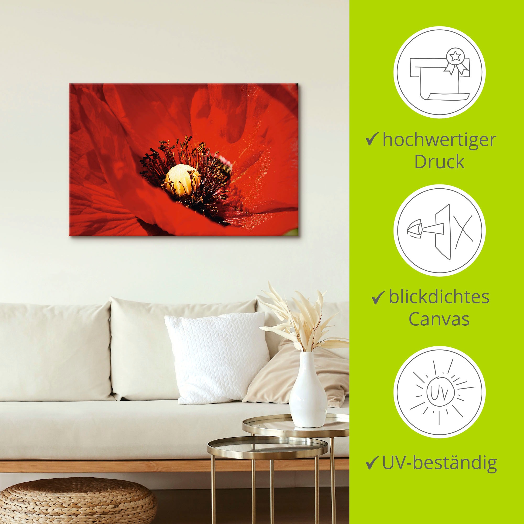 Artland Wandbild »Roter Mohn«, Blumen, (1 St.), als Alubild, Leinwandbild, Wandaufkleber oder Poster in versch. Größen