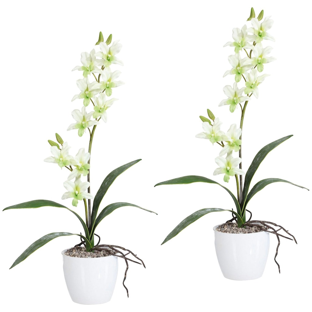 Creativ green Kunstpflanze »Orchidee Dendrobie«
