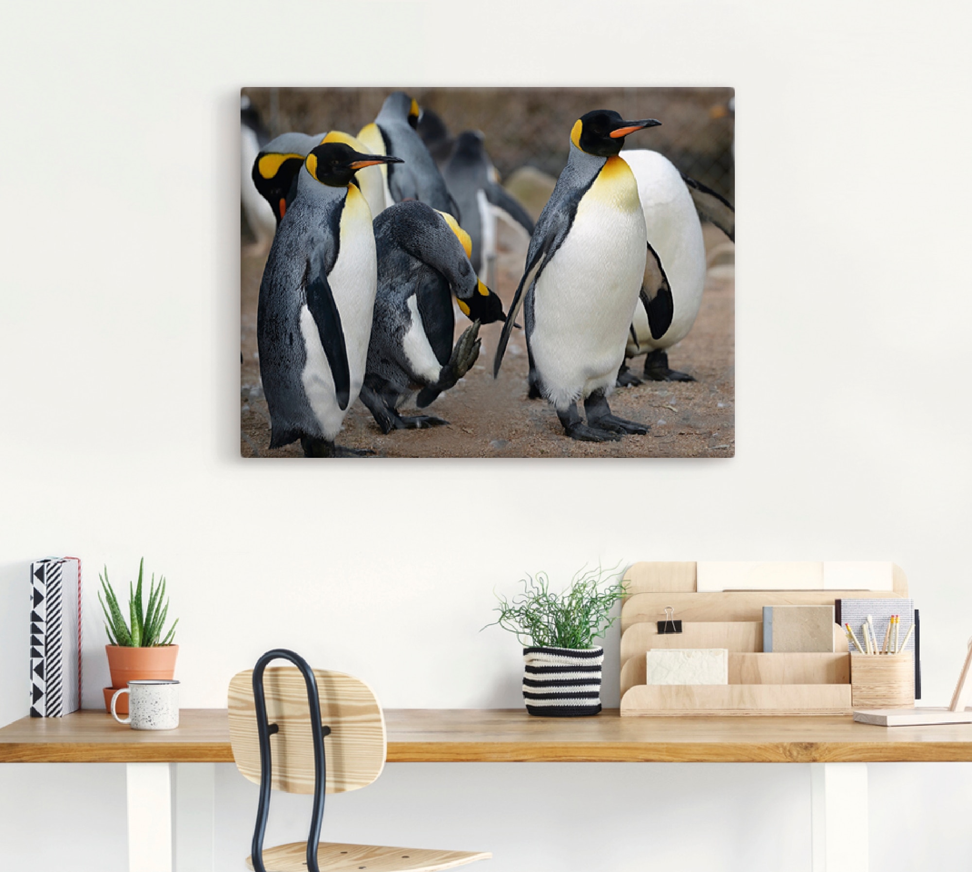 Artland Wandbild »Königspinguin«, Vögel, (1 St.), als Leinwandbild, Wandauf günstig online kaufen