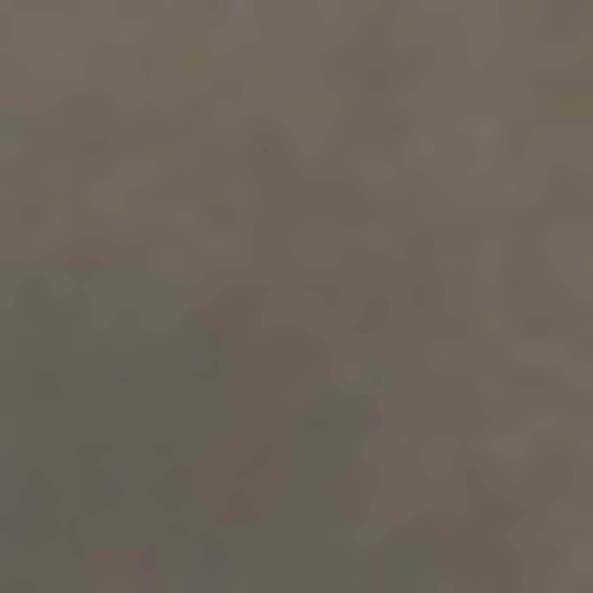 BOSS ORANGE Steppjacke »Padilena Premium Damenmode« Regular Fit mit Stehkragen, gefütterte Taschen