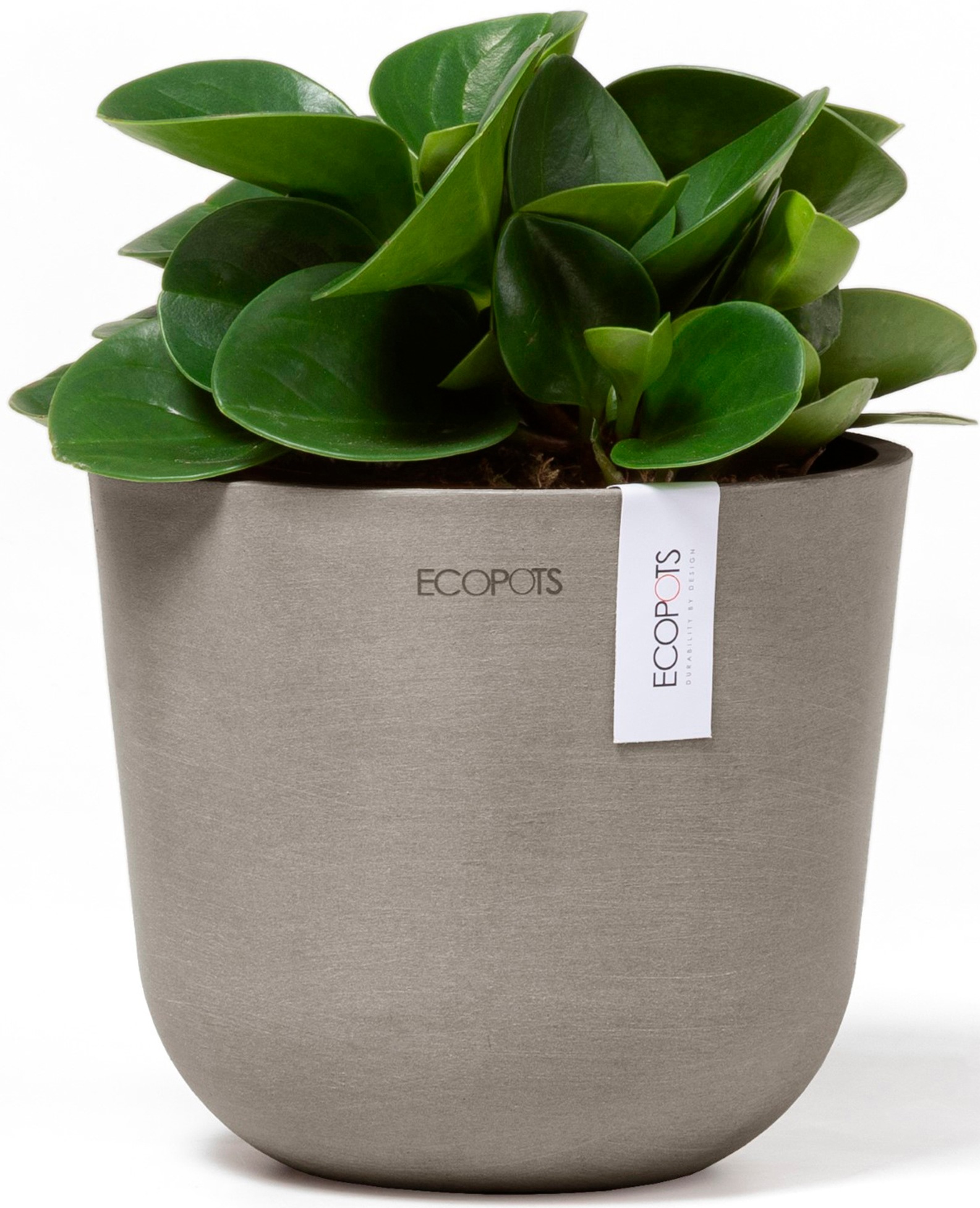 ECOPOTS Blumentopf »Oslo Mini 16 Taupe«, für den Innenbereich