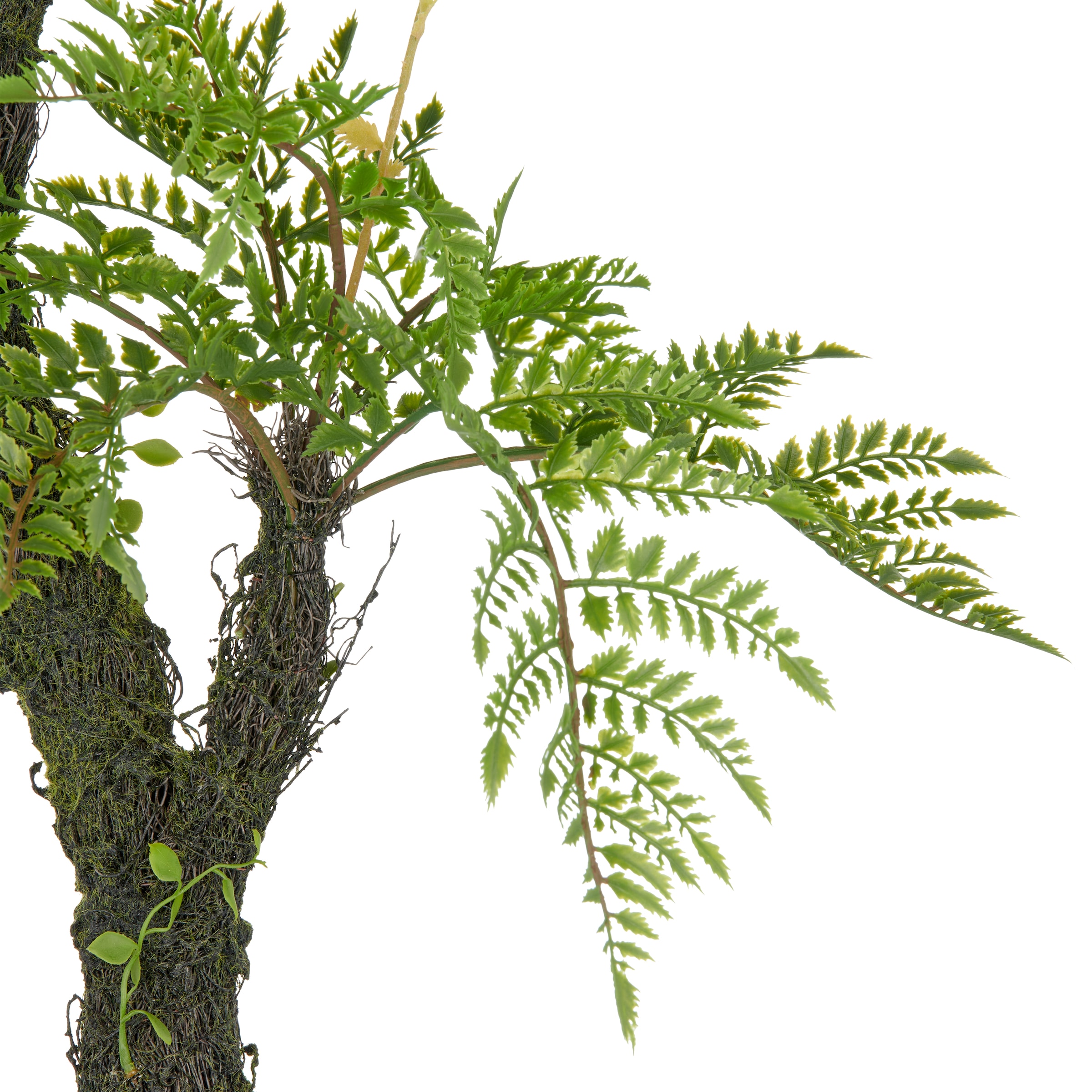 Creativ green Kunstpflanze »Baumfarn« an Moosstamm
