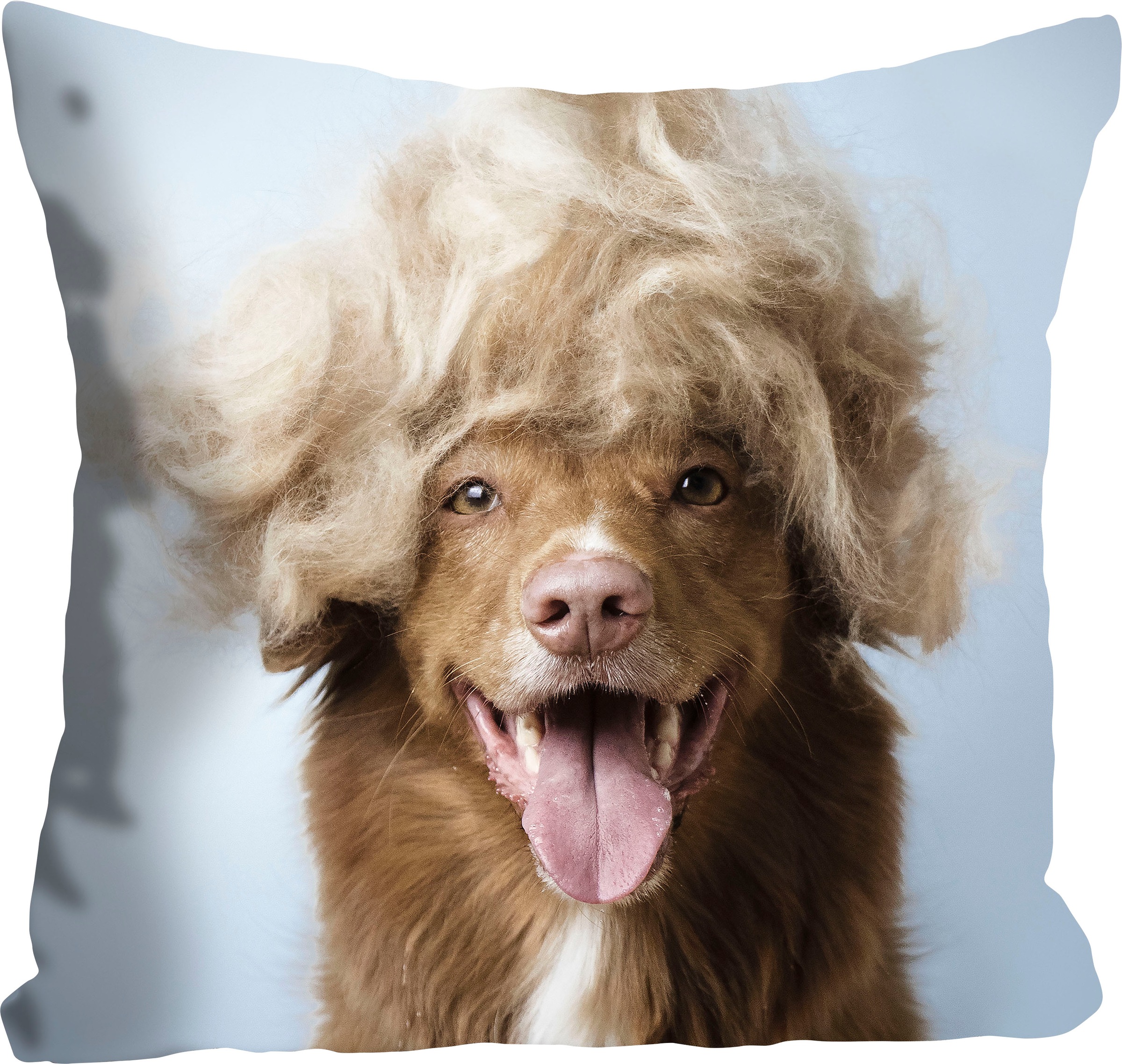 queence Dekokissen »Perry«, Hund mit einer blonden Perücke, Kissenhülle ohn günstig online kaufen
