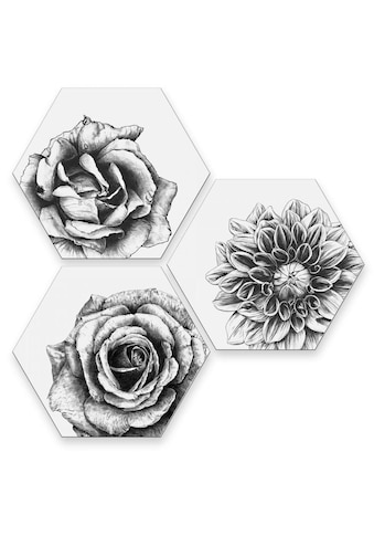 Wall-Art Mehrteilige Bilder »Blumen Collage Floral Deko«, (Set, 3 St.) kaufen