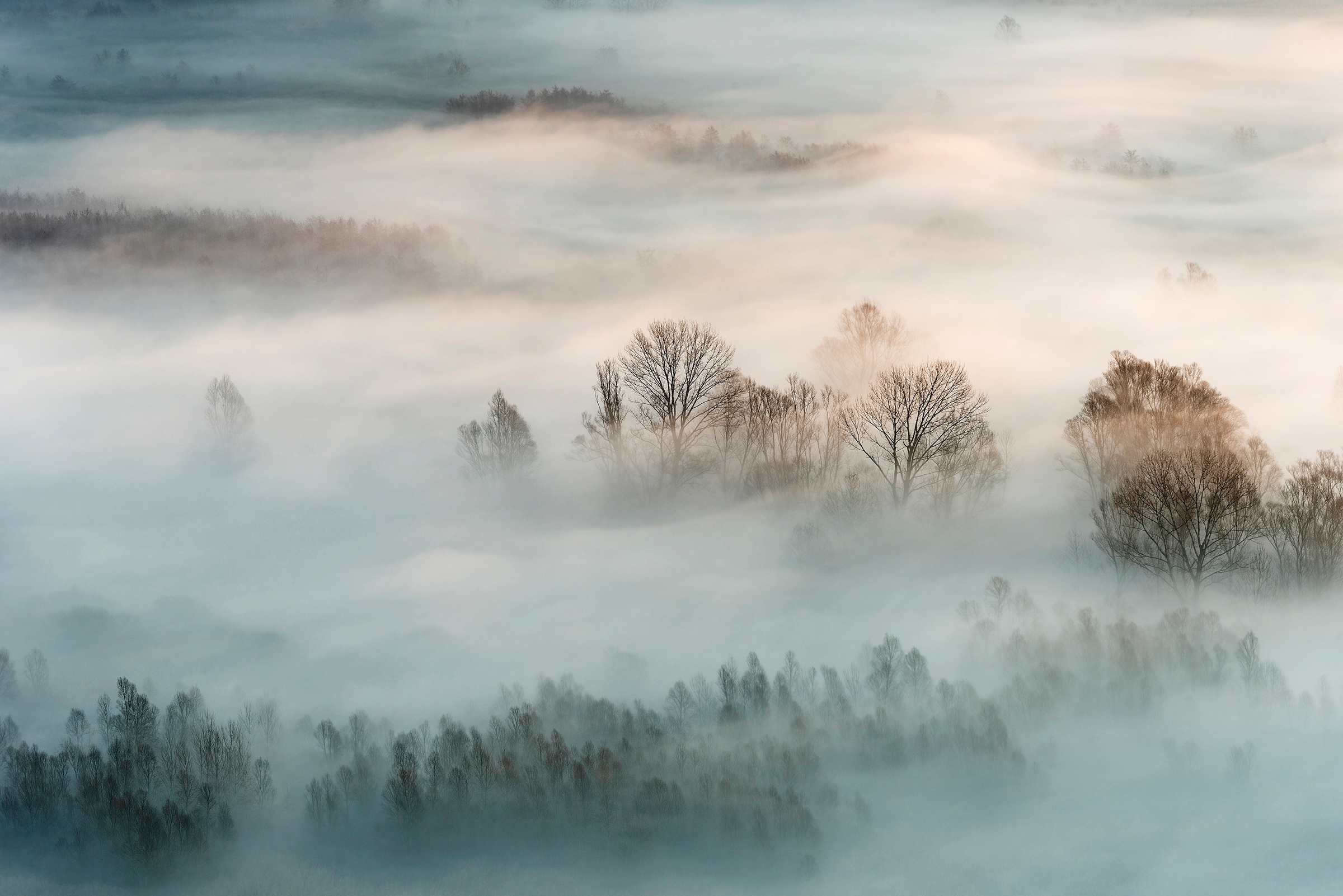 Papermoon Fototapete »Photo-Art MARCO GALIMBERTI, WINTERNEBEL« günstig online kaufen