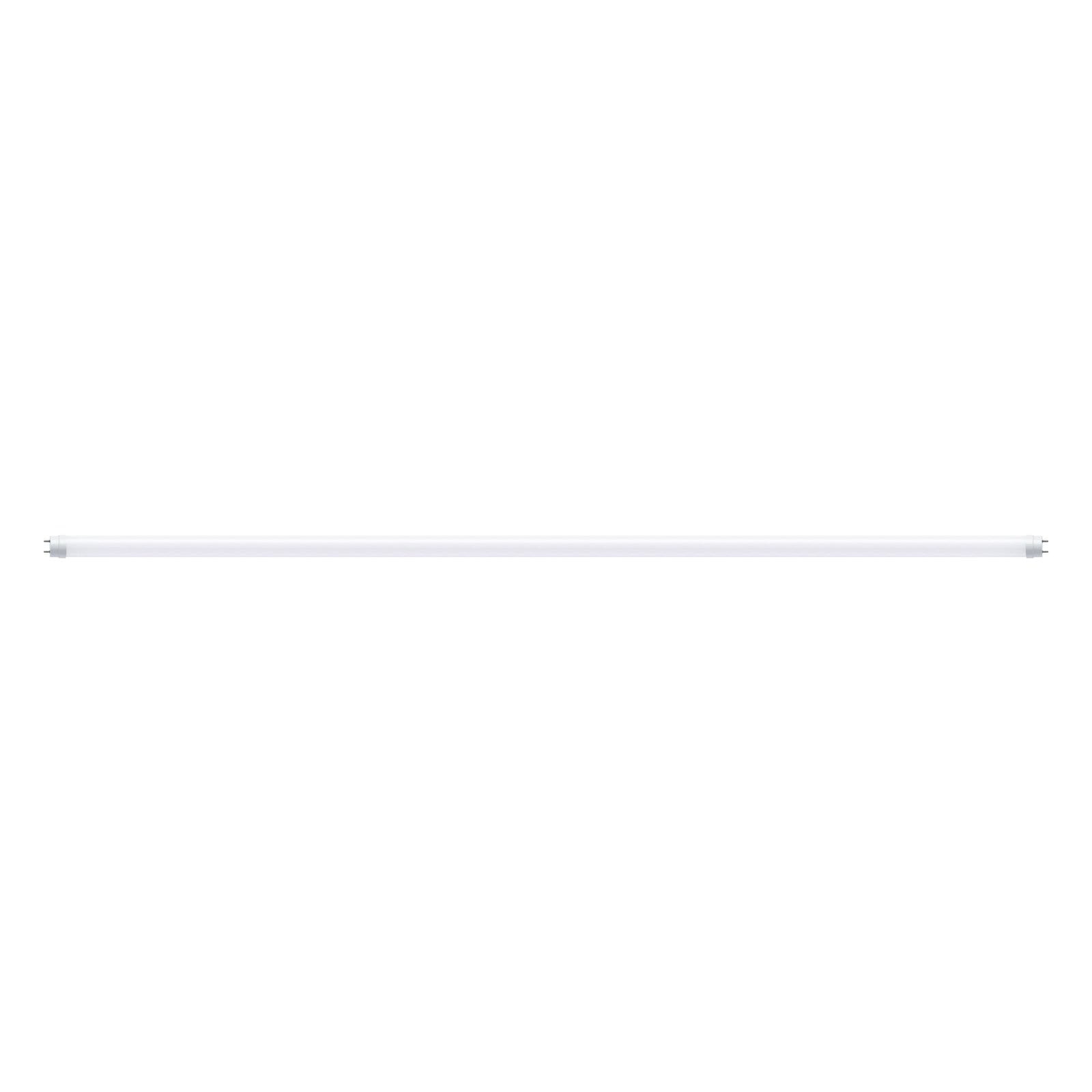 Paulmann LED-Leuchtmittel »Röhre G13 2300lm 22W 3000K opal 230V« 1 Stk. War günstig online kaufen