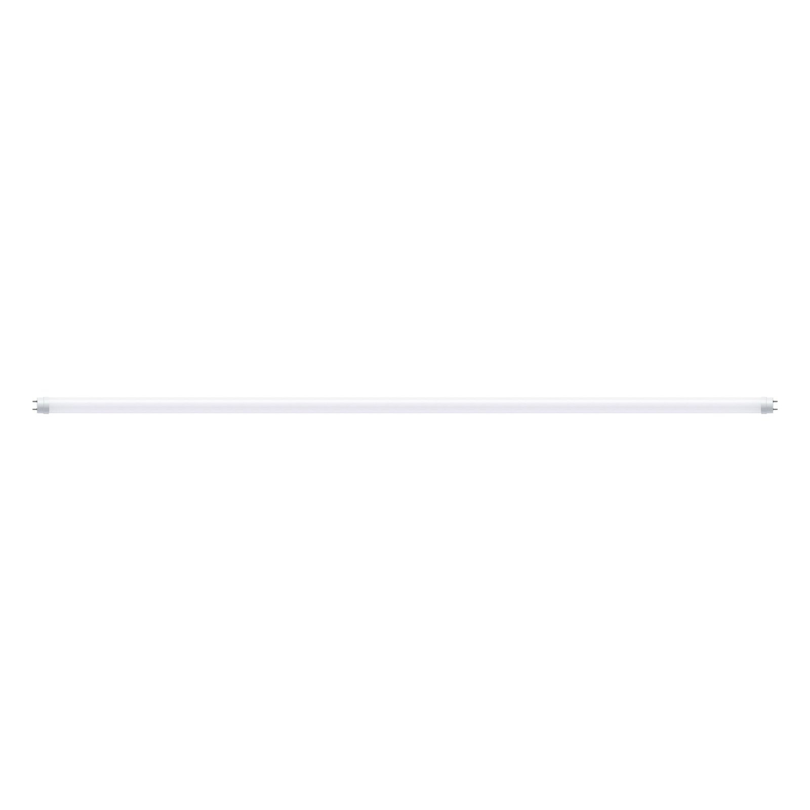 Paulmann LED-Leuchtmittel »Röhre G13 2300lm 22W 6500K opal 230V«, 1 St., Ta günstig online kaufen