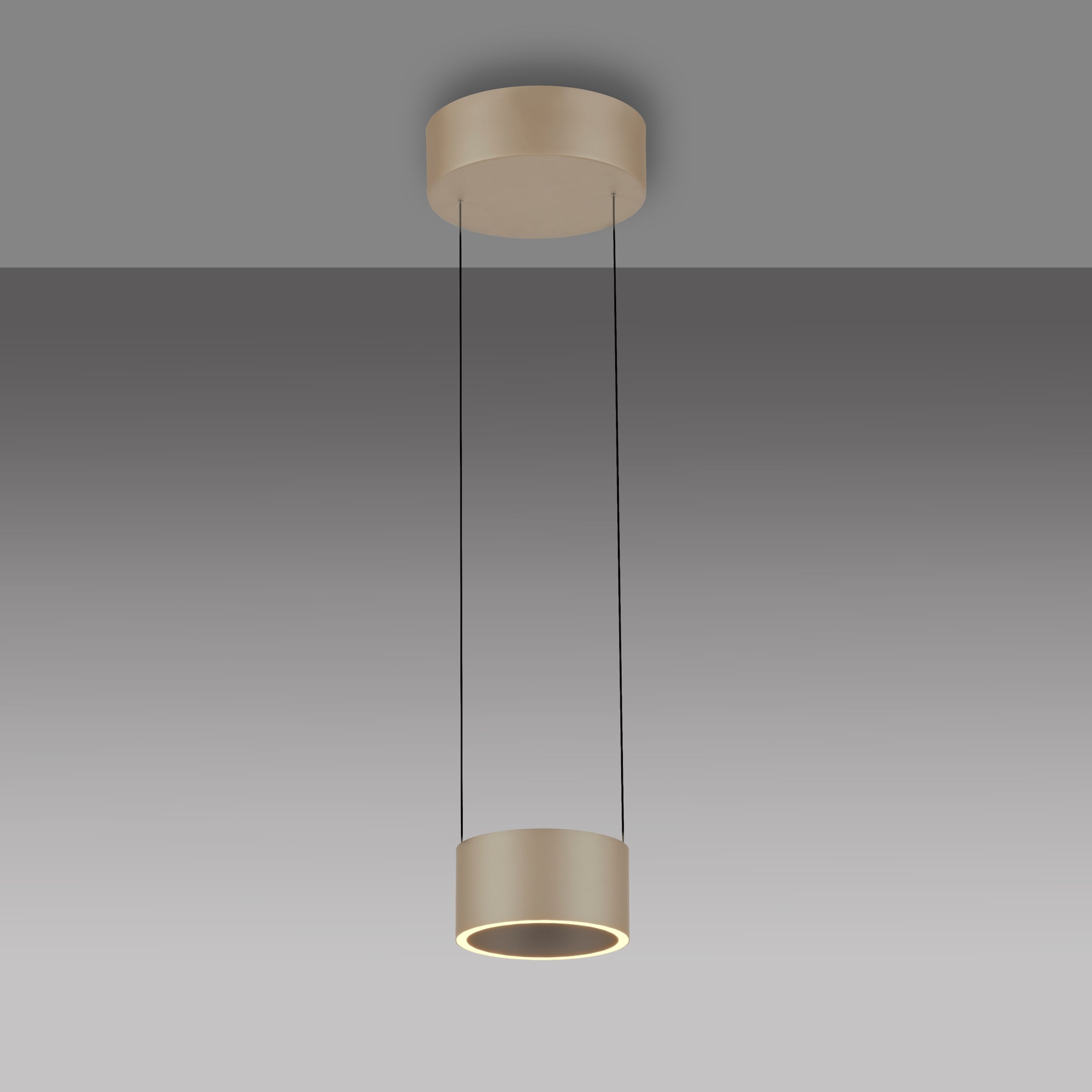 Neuhaus PURE LED Pendelleuchte »PURE Clipse« LED-Board 1 Stk. warmweiß - kaltweiß Comfort Lift, CCT, dimmbar über Fernbedienung