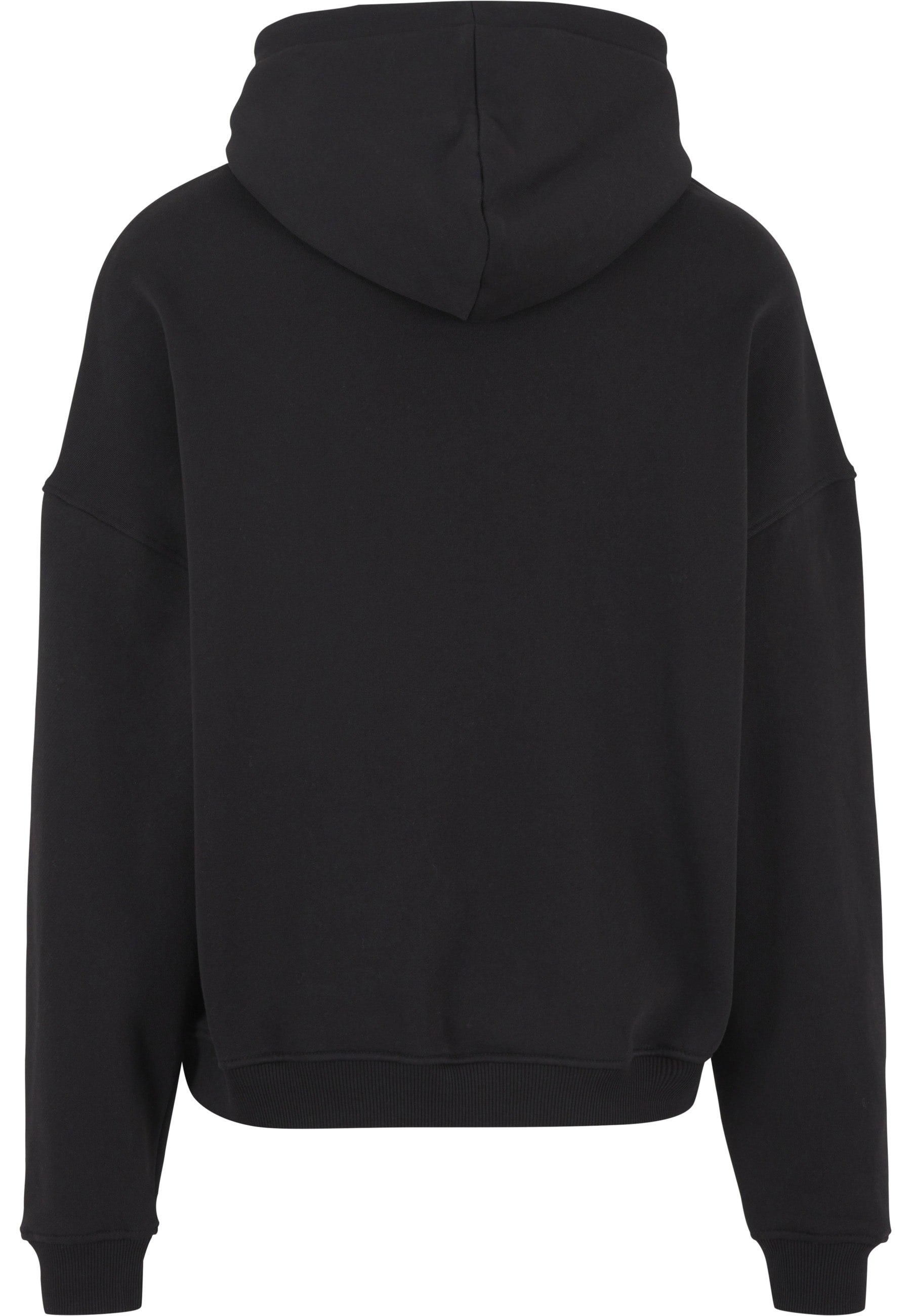 PEQUS Kapuzenpullover »PEQUS PEQUS Blue Angel Graphic Hoodie« 1 Stk.