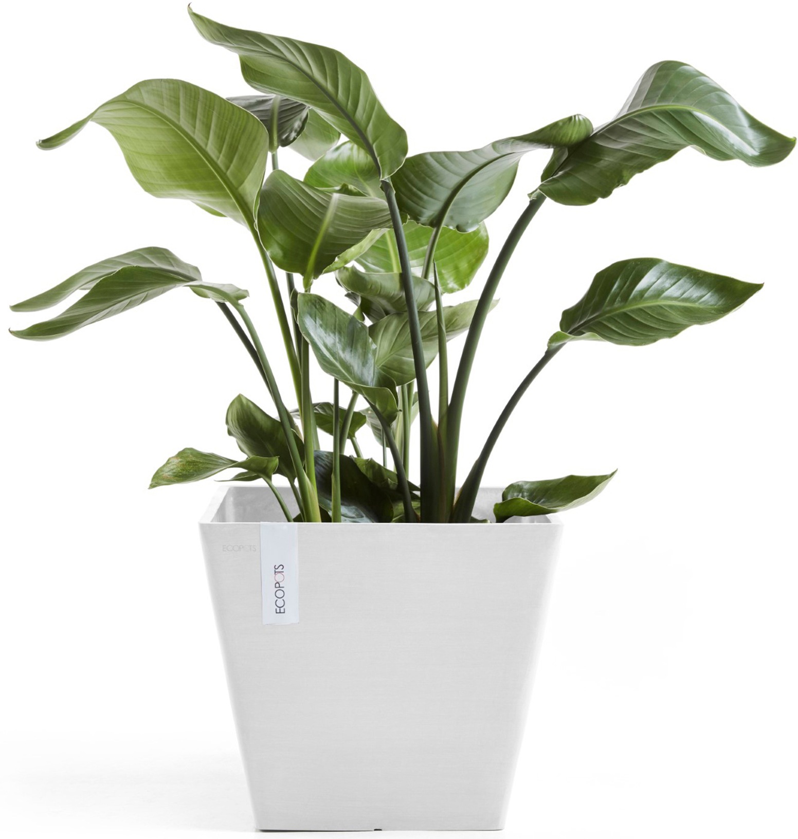 ECOPOTS Blumentopf »Rotterdam 30 Weiß«, für innen und außen: frostsicher, bruchsicher und lichtbeständig
