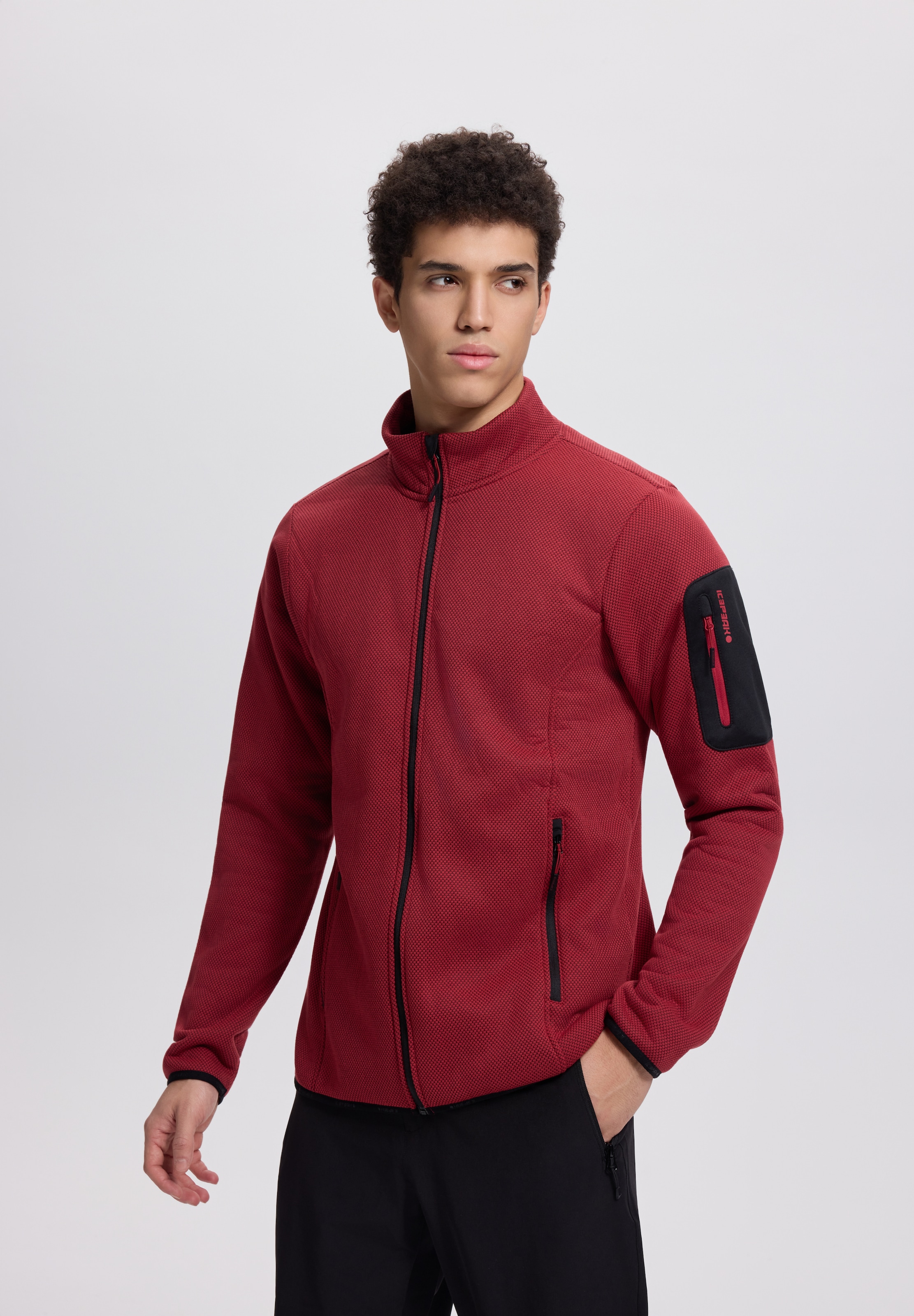 Icepeak Fleecejacke »BREDSTEDT« sportlicher Stil, mit Stehkragen, mit Reißverschlusstaschen