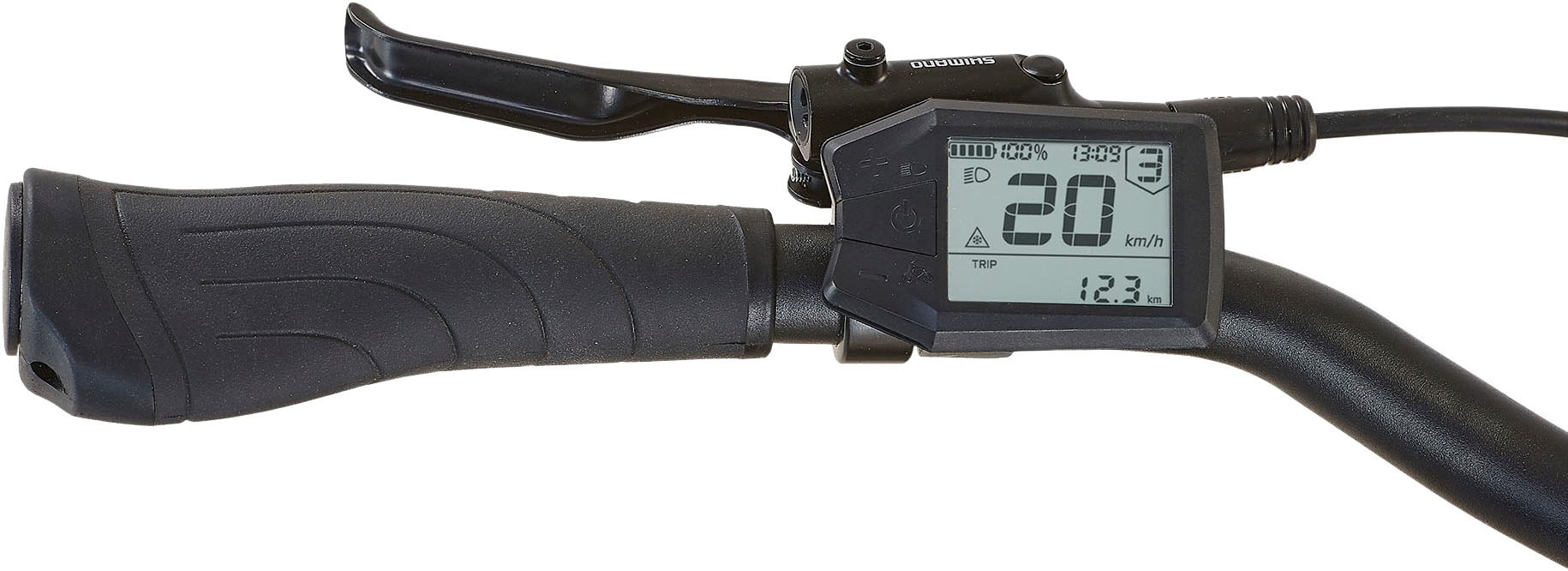 Prophete E-Bike »Geniesser 3.3«, 7 Gang, Shimano, Nexus, Mittelmotor 250 W