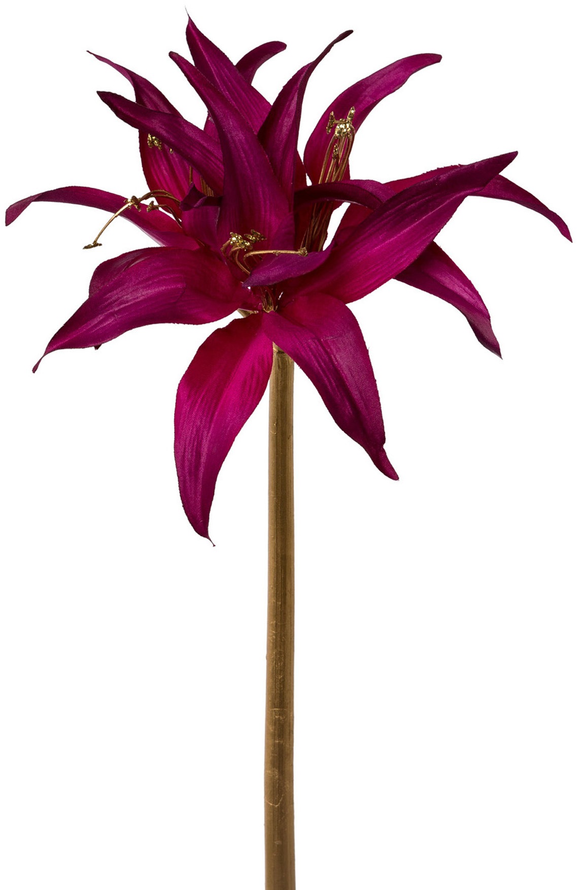 Creativ green Winterliche Kunstpflanze »Weihnachtsdeko«, tolle Kombi: purple mit goldfarben, 3er-Set
