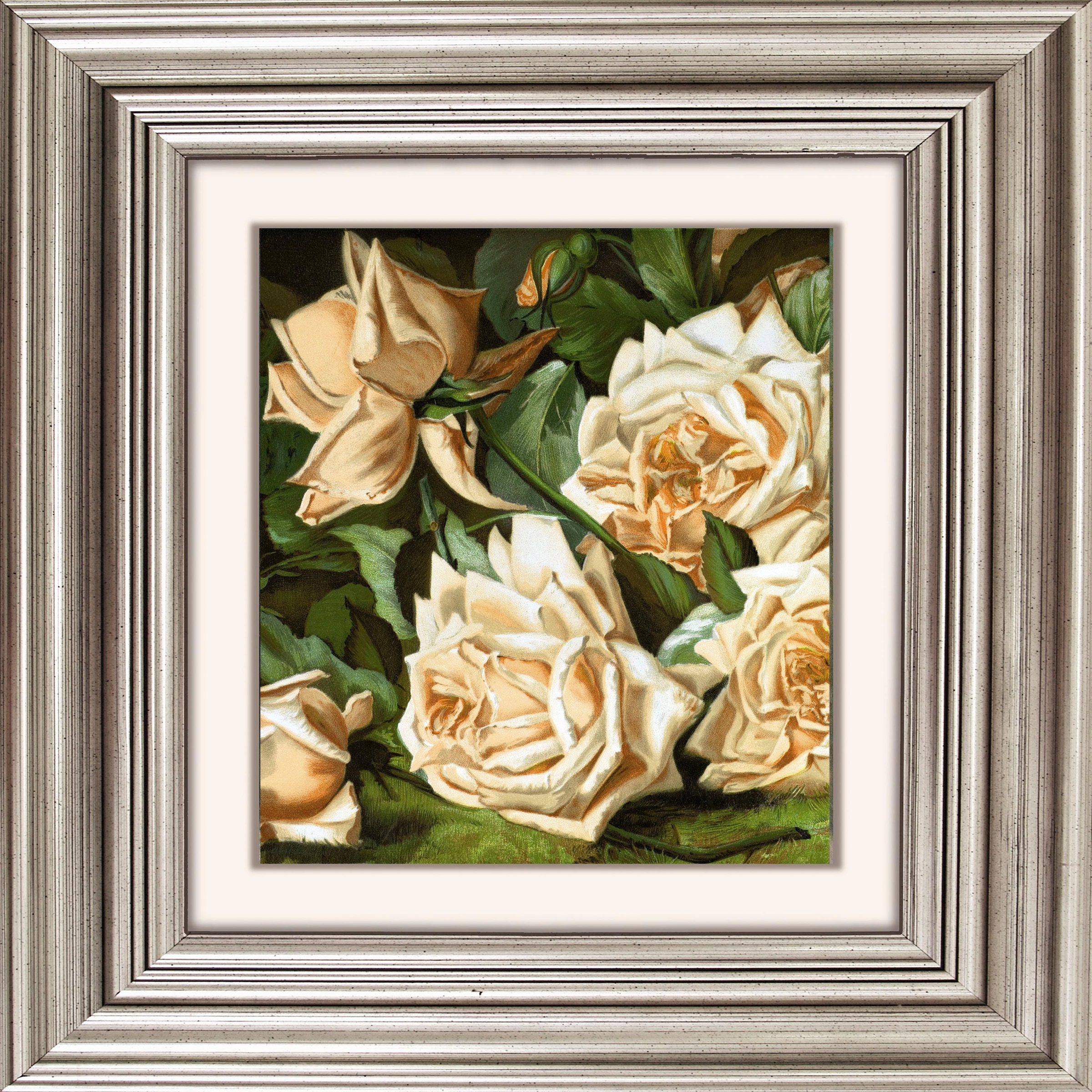 queence Acrylglasbild »Rosen«, Blumen-Blumenbilder-Kunst-Pflanzen-Pflanzenb günstig online kaufen