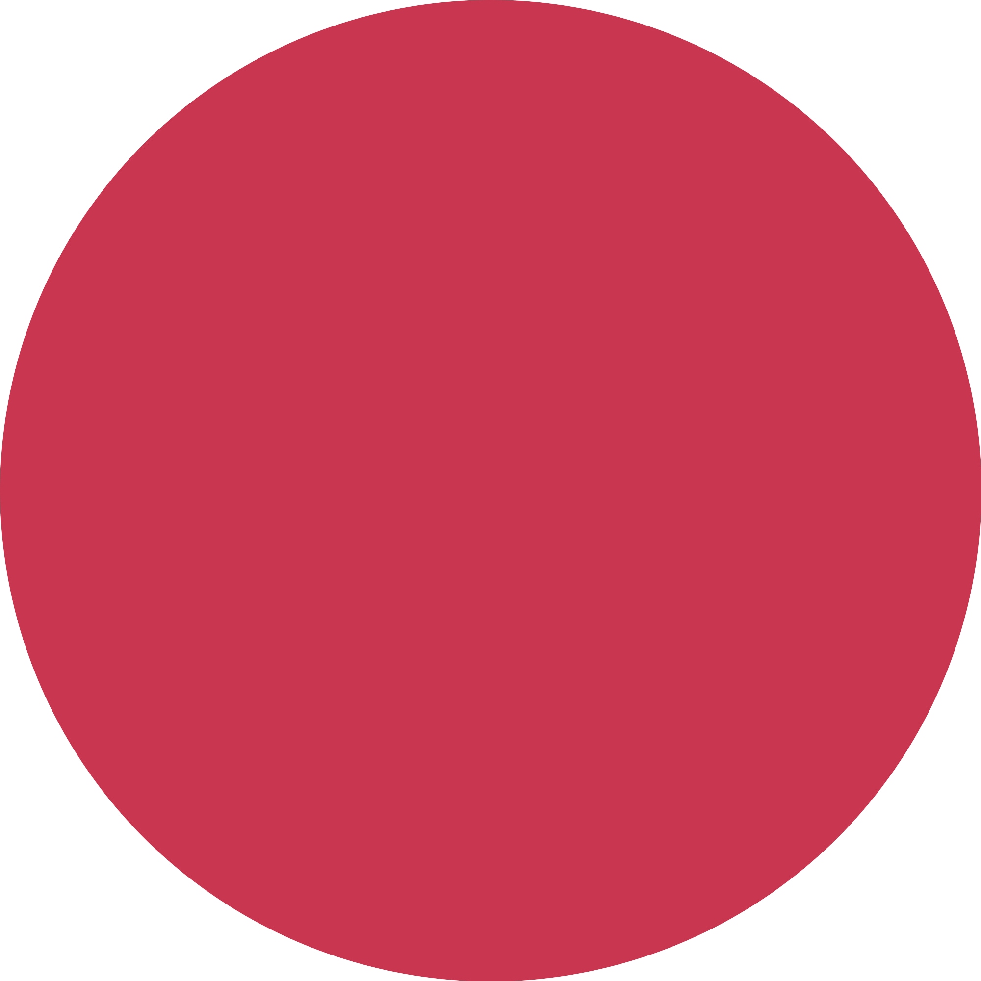 Essence Rouge »DISNEY THE LITTLE MERMAID SERUM BLUSH«