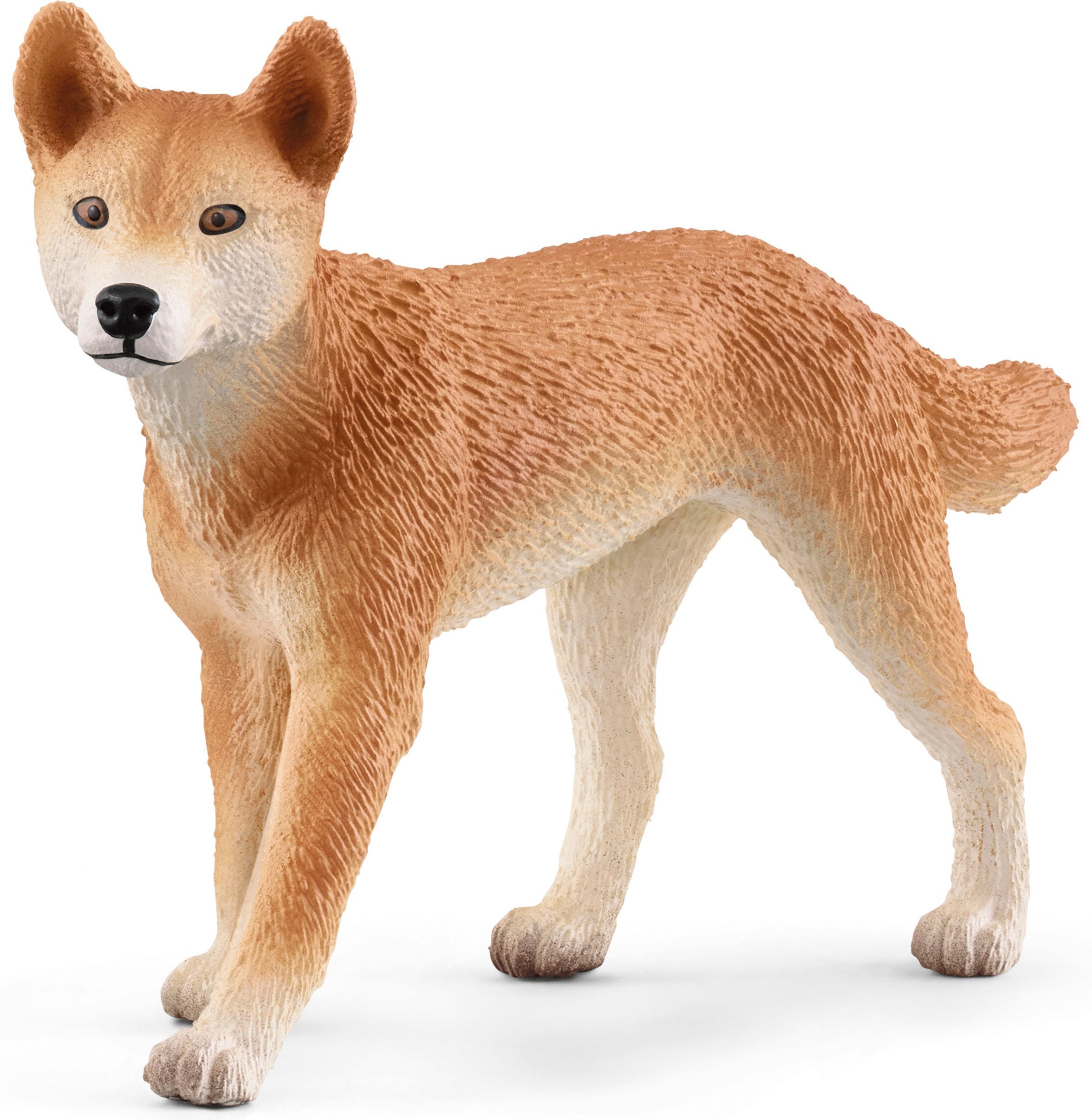 Schleich® Spielwelt »WILD LIFE, Outback Abenteuer (42550)«