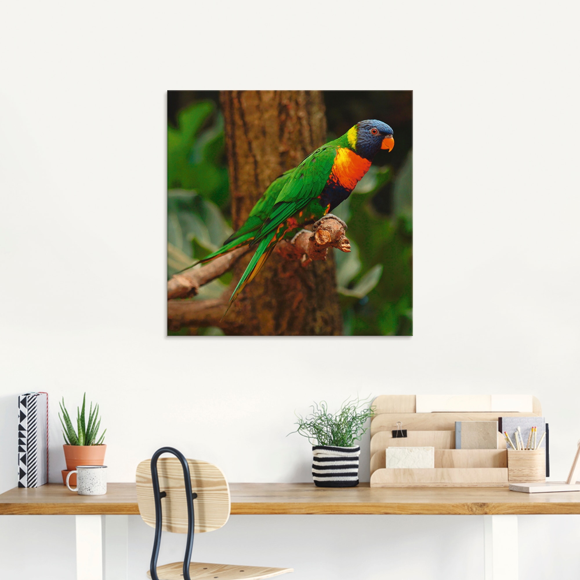 St.), »Allfarblori im Baum«, (1 Vögel, online Artland verschiedenen Glasbild kaufen in Größen